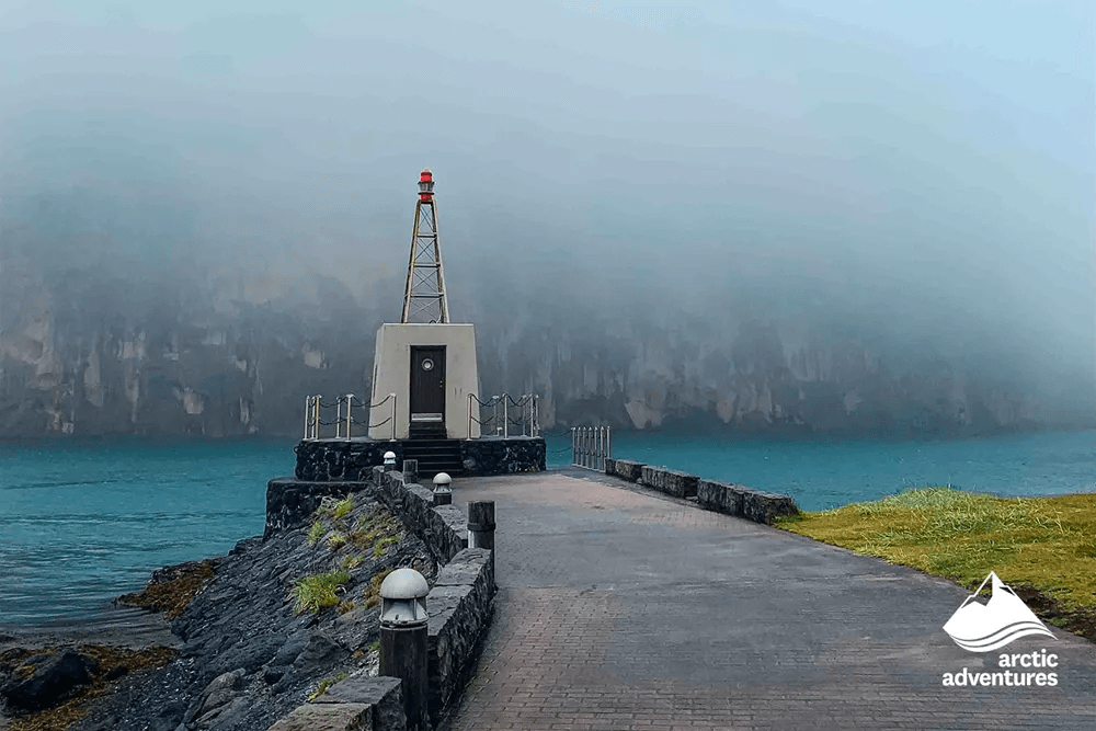 Vestmannaeyjar Day Tour - photo 7