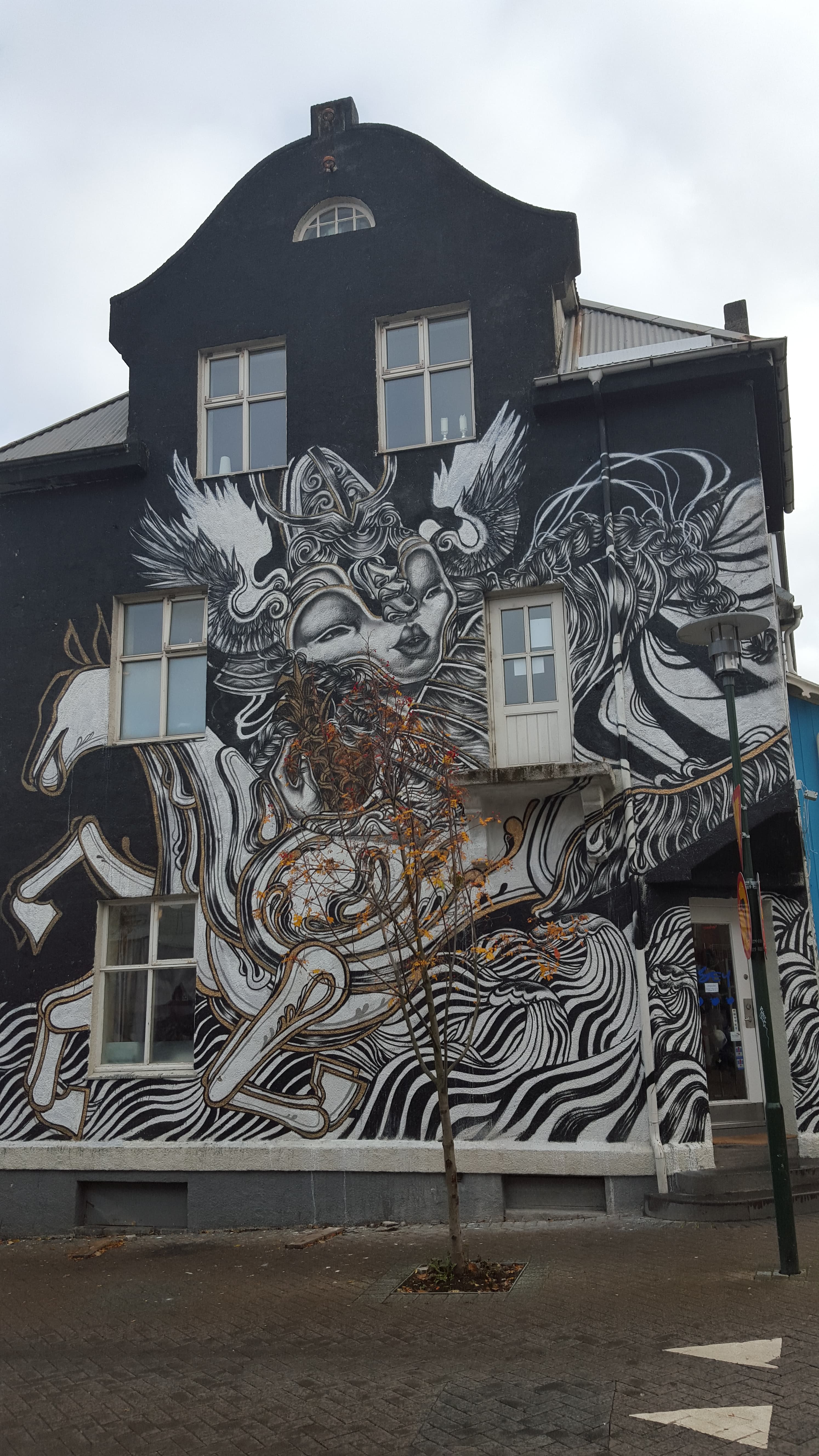 Private Reykjavik Street Art & Photo Friendly Walking Tour - photo 7