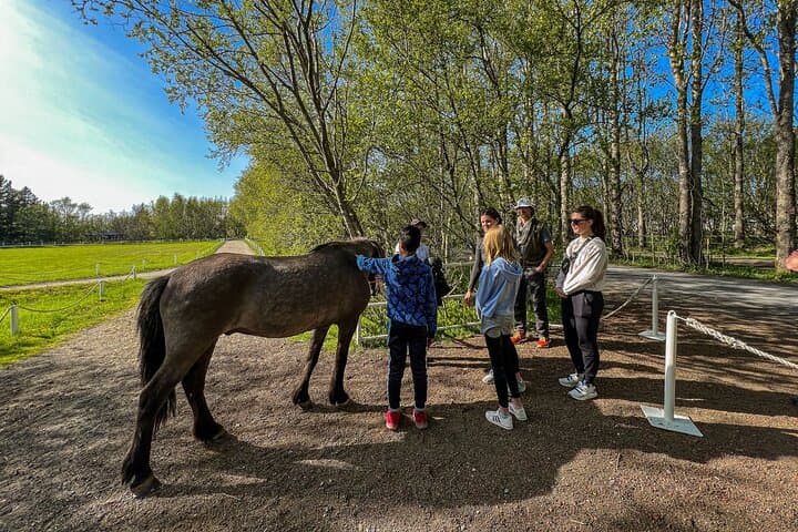 Golden Circle and Lunch at Fridheimar Tomato Farm - with photos