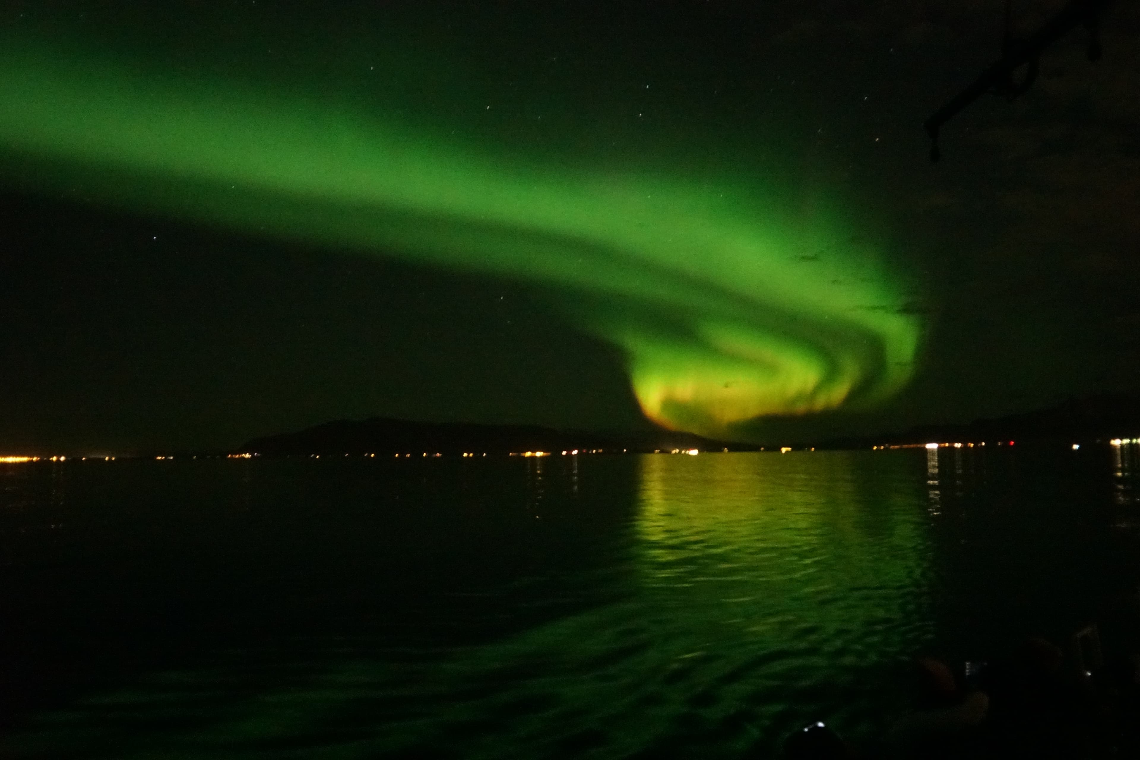 Whale Watching & Northern lights Combo Cruise from Reykjavik - photo 5