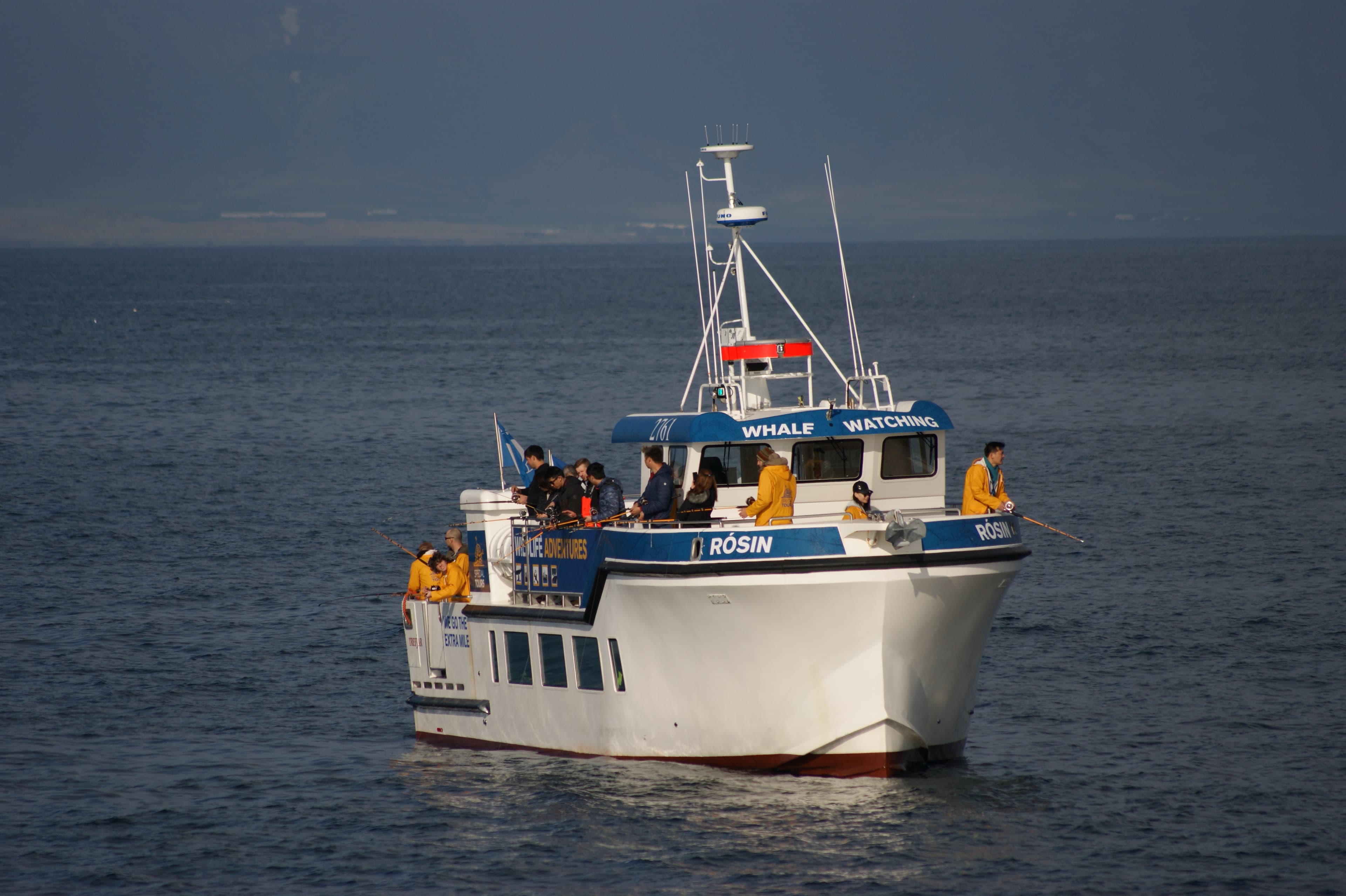 Sea Angling - photo 12