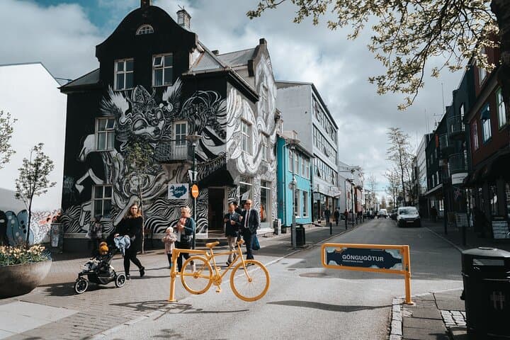 Private Reykjavik Walking Tour - 3 hours - photo 4