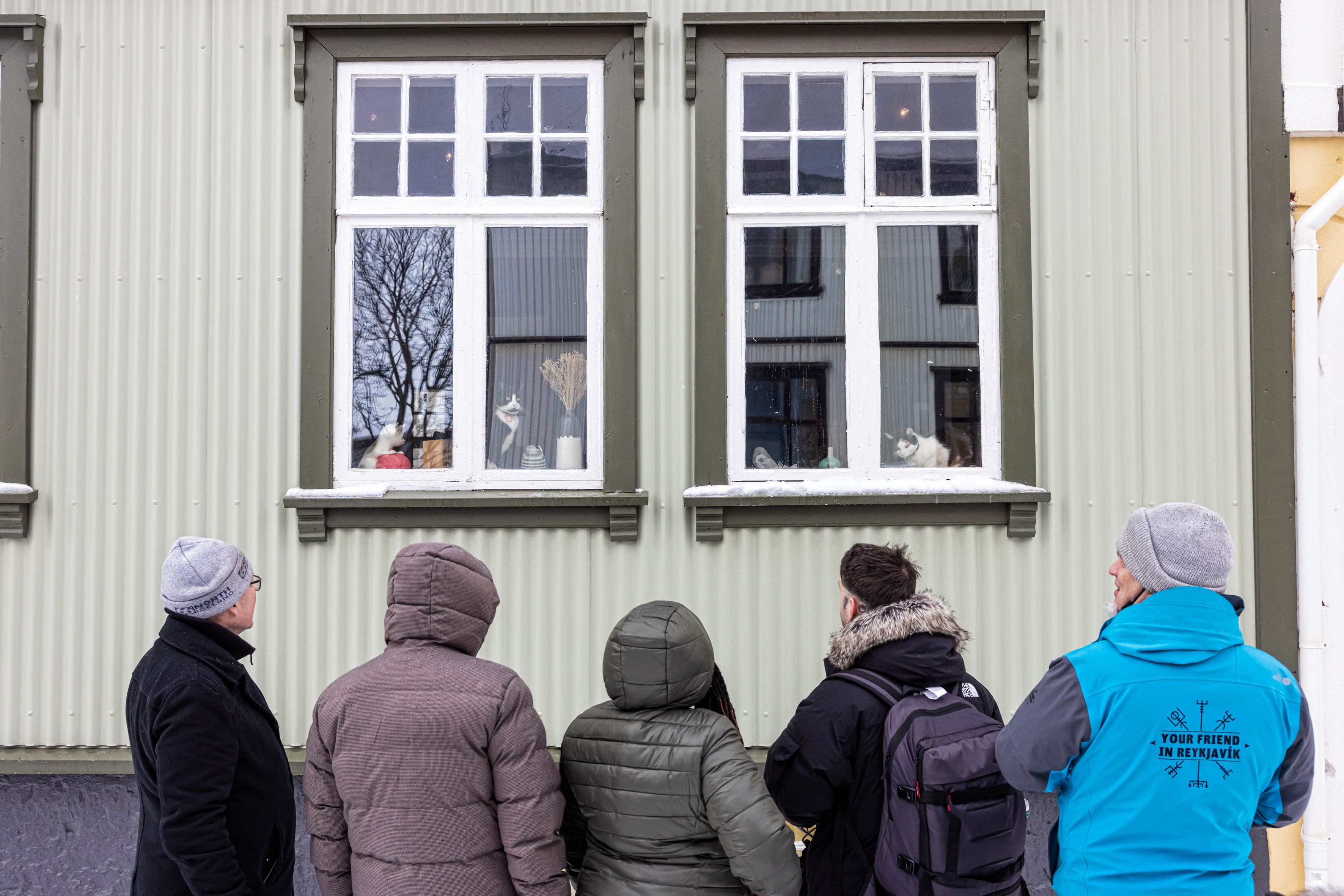The Reykjavik CatWalk - photo 5