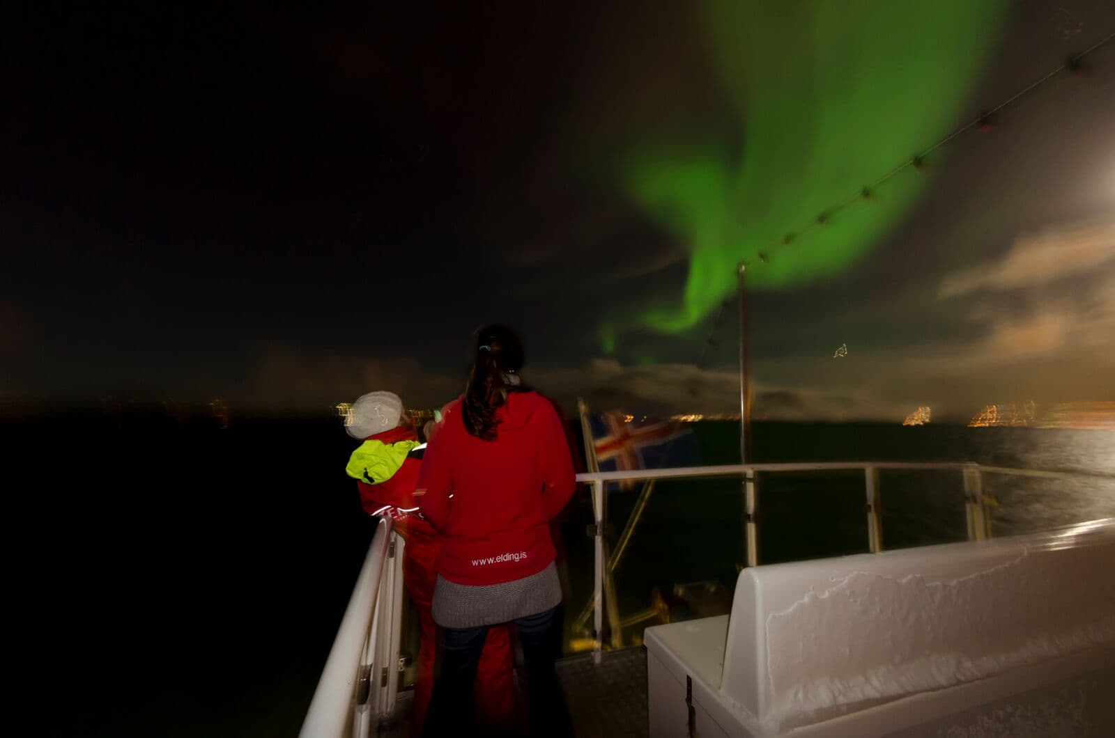 Reykjavík Whales & Northern Lights - photo 7