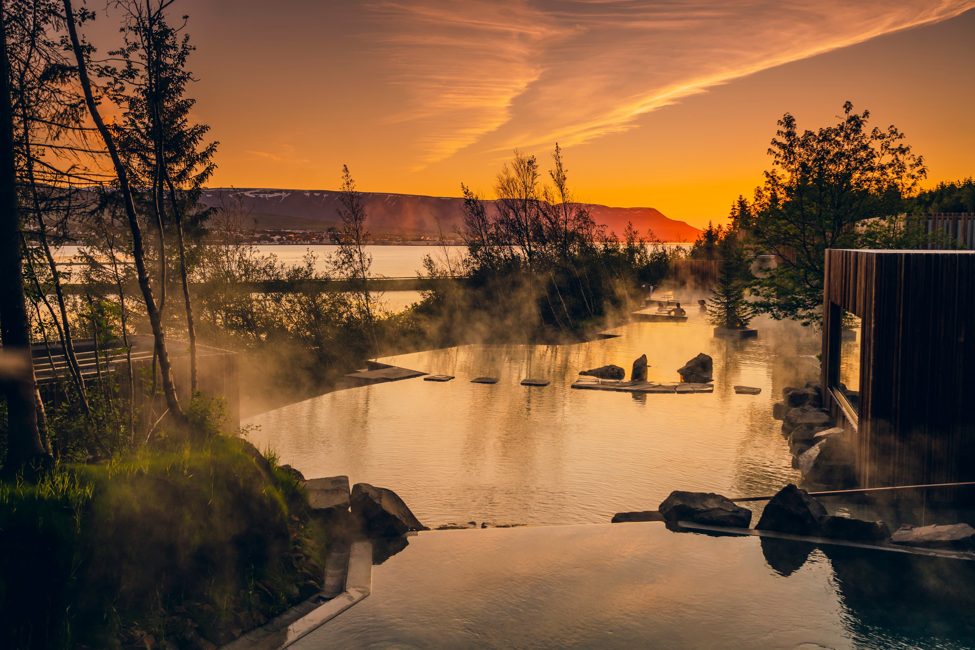 Forest Lagoon & Northern Lights - photo 5