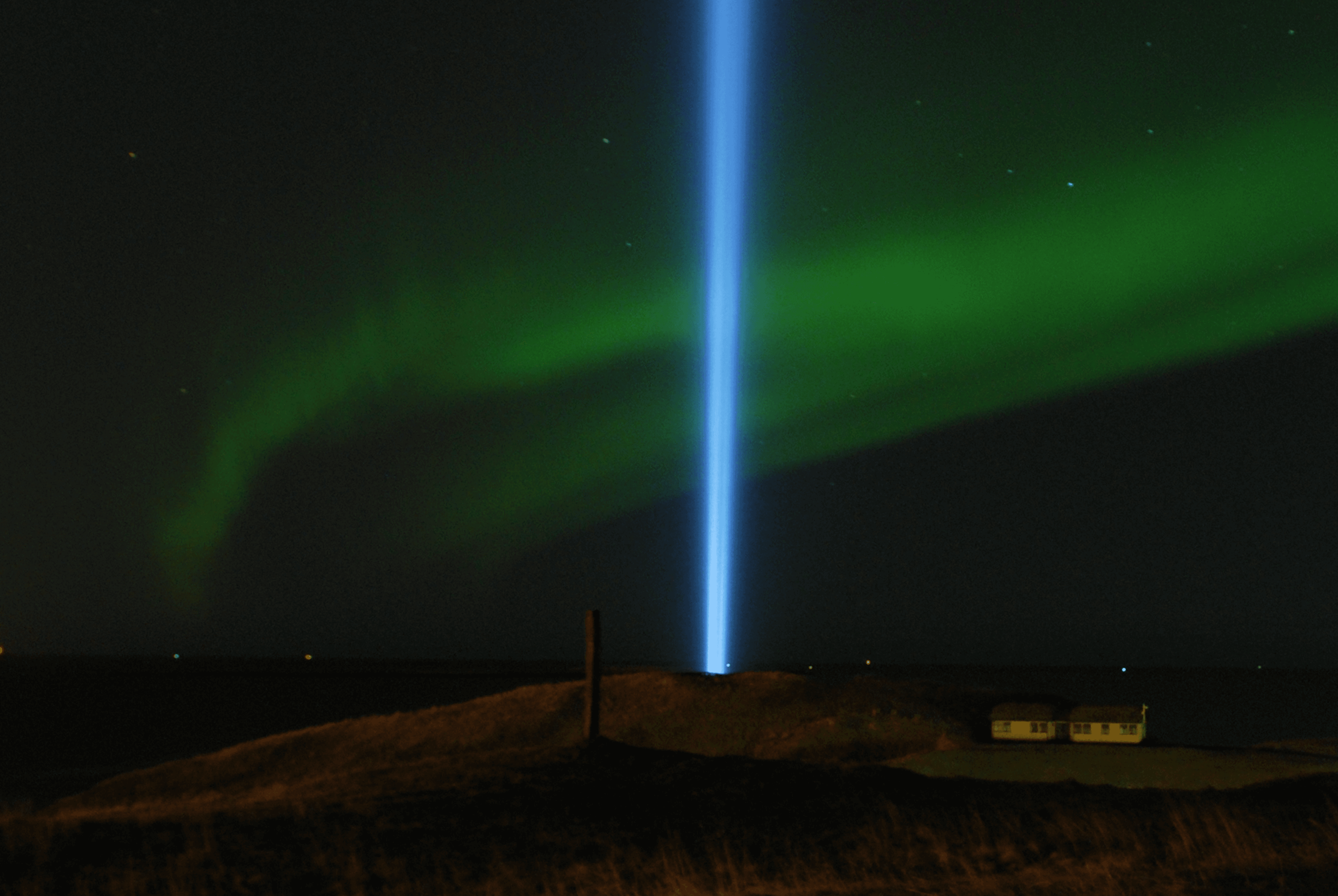 Reykjavík Whales & Northern Lights - photo 16