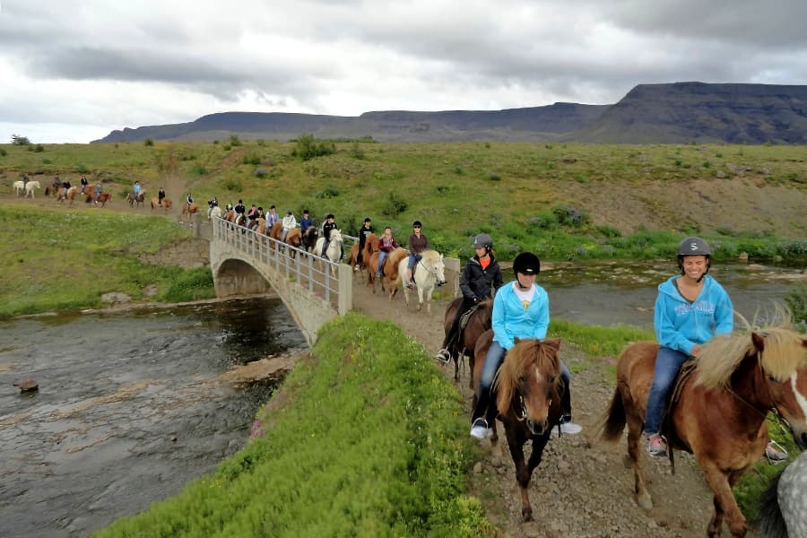 Silfra Snorkeling - with underwater photos & Horseback riding - photo 13