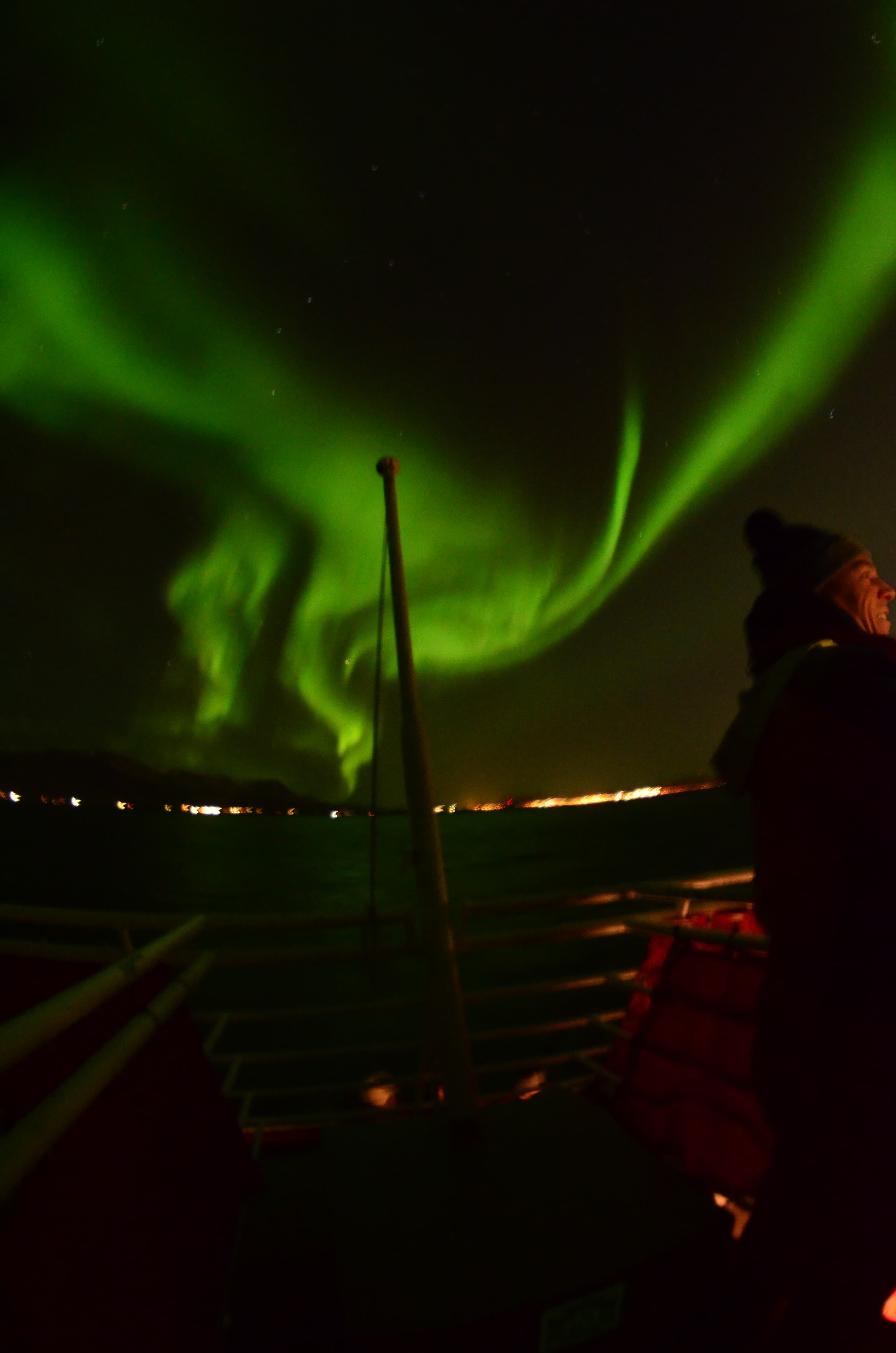 Reykjavík Whales & Northern Lights - photo 21