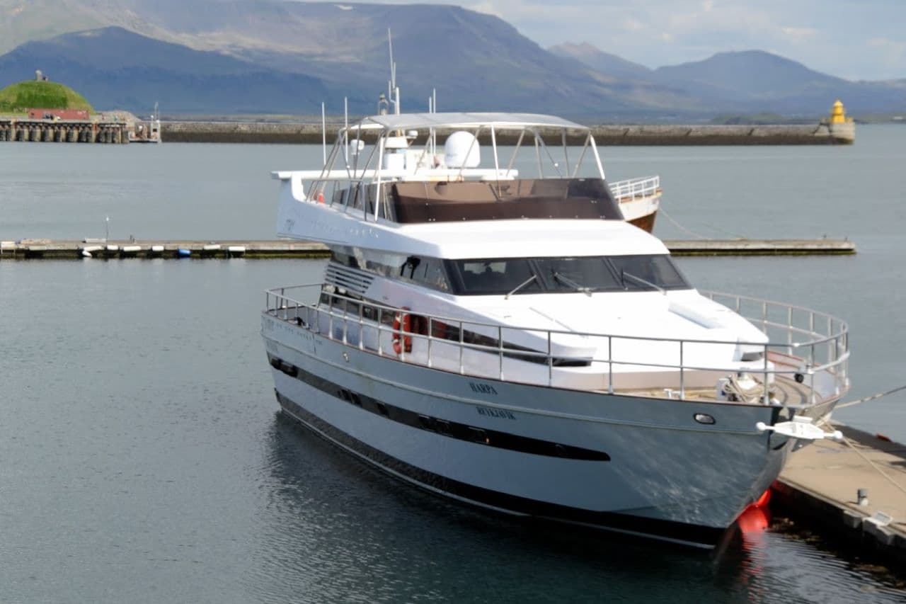 Northern Lights Yacht Cruise - photo 16