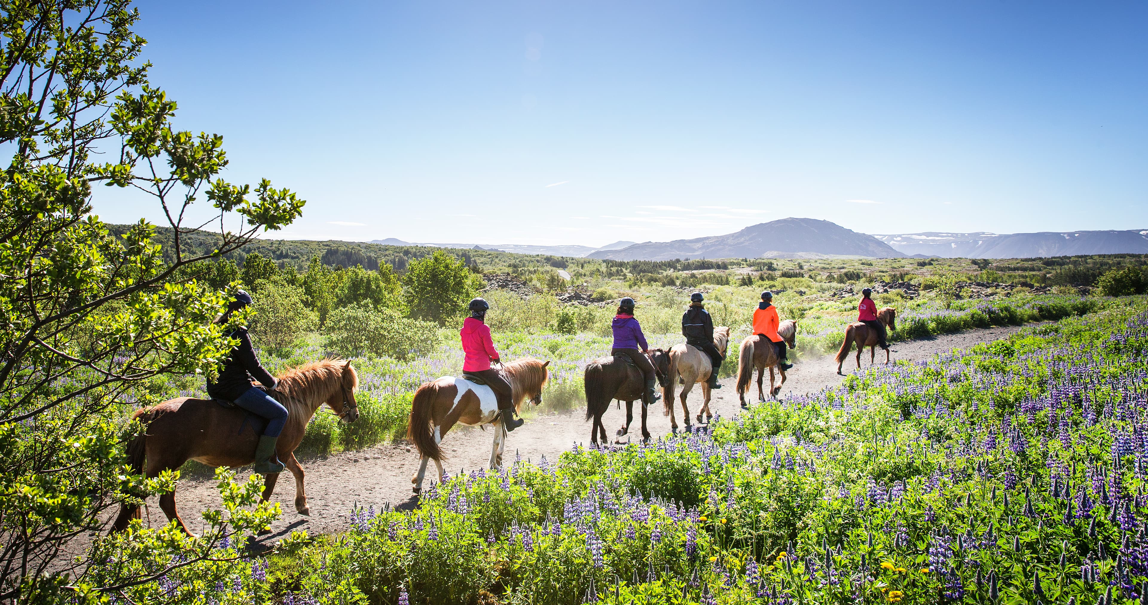 Lava Tour - Horseback Riding through the Lava Fields - photo 8