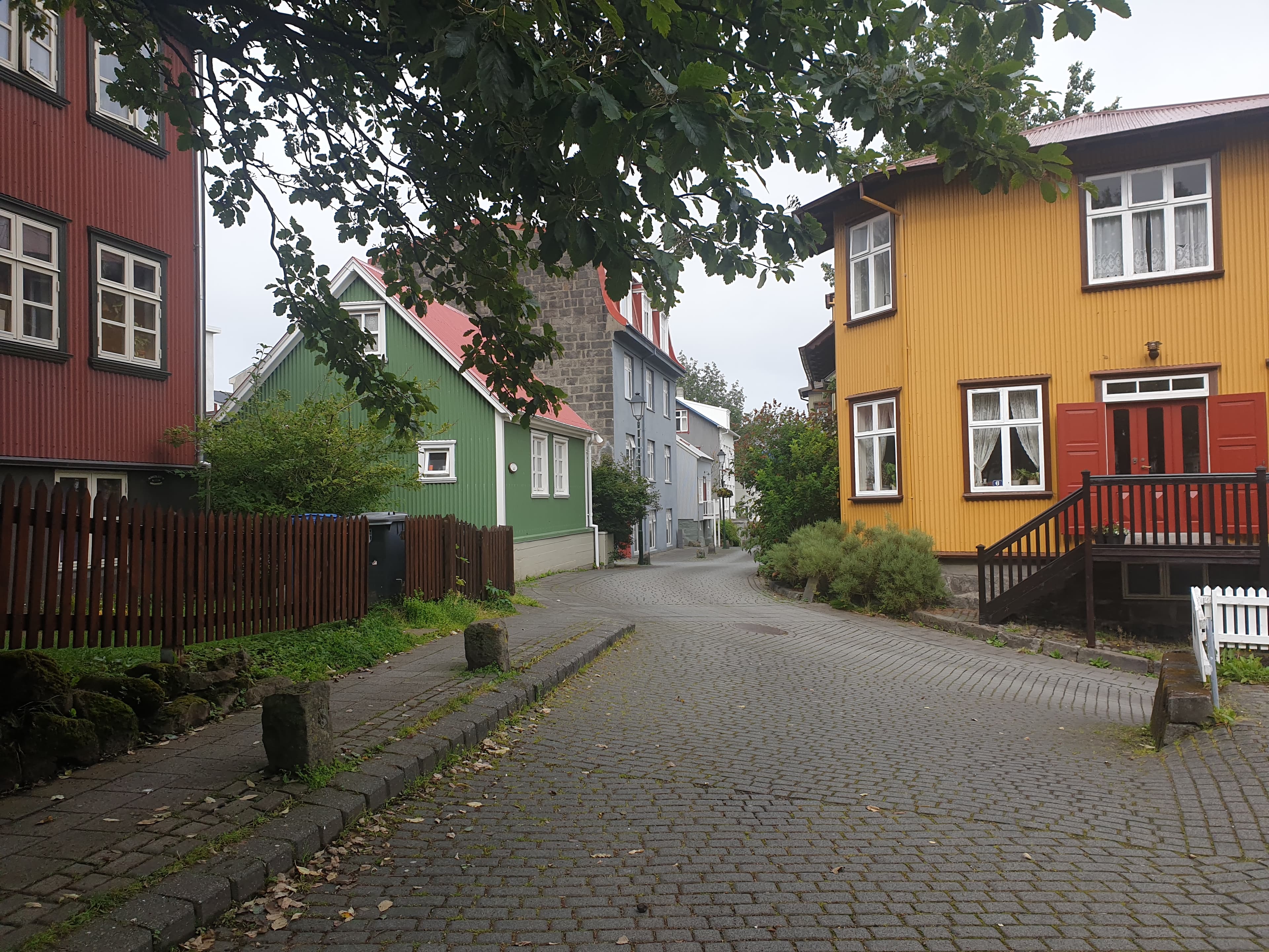 Reykjavik Walking Tour small group - CityWalk
