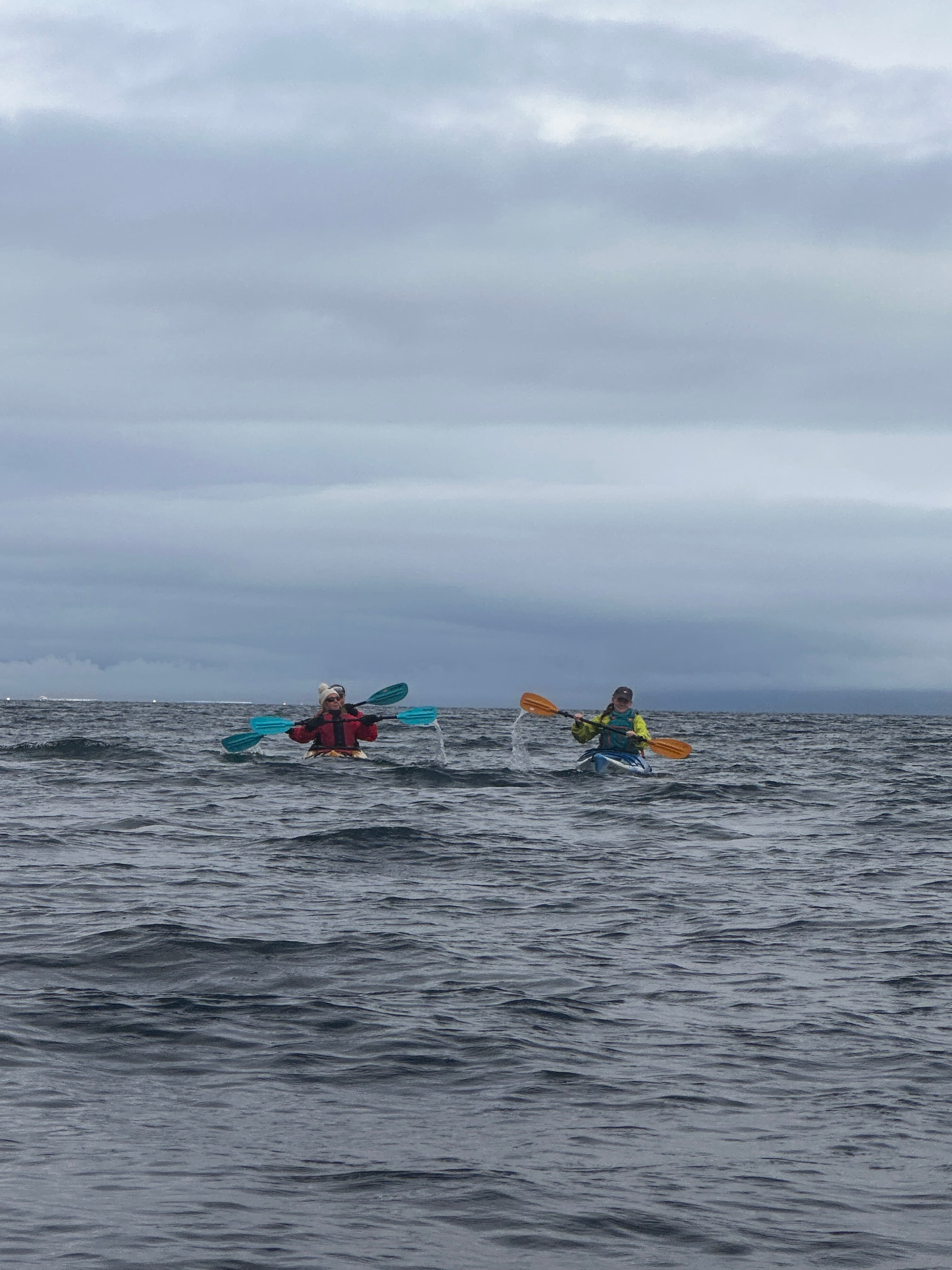 Guided Kayak Tour in Árskógssandur: Explore Coastline & Wildlife - photo 10