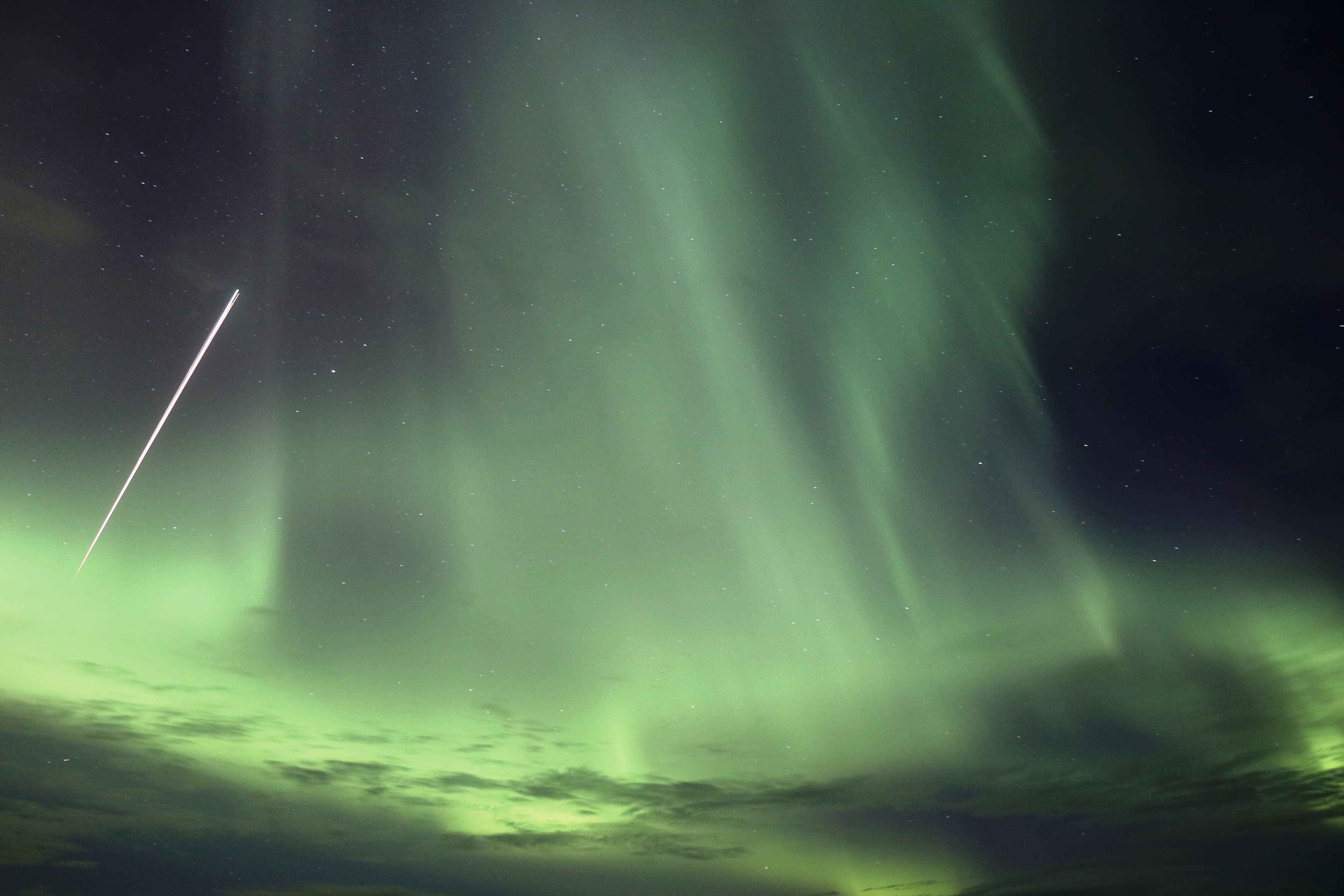 Forest Lagoon & Northern Lights
