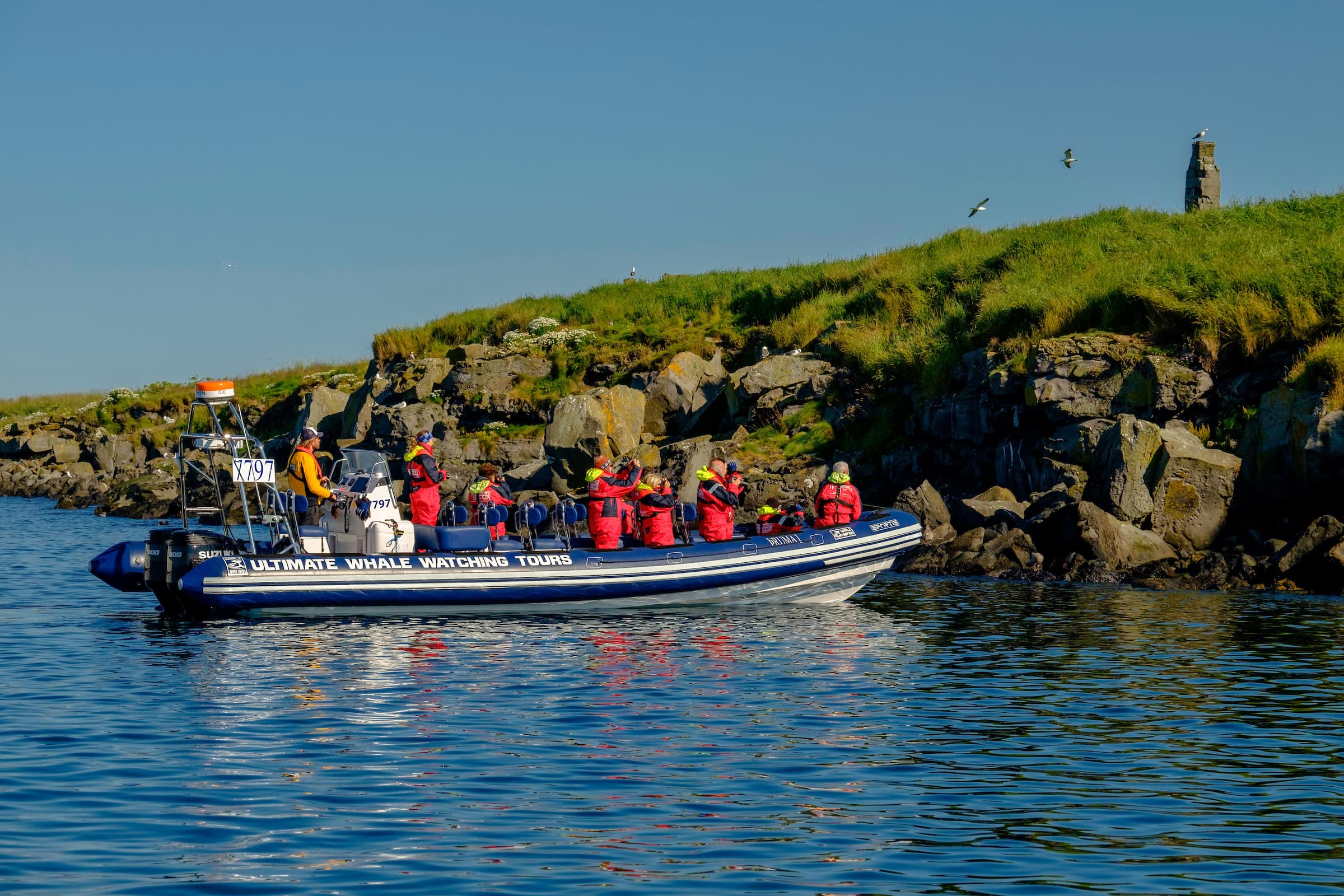 Premium Puffin Tour