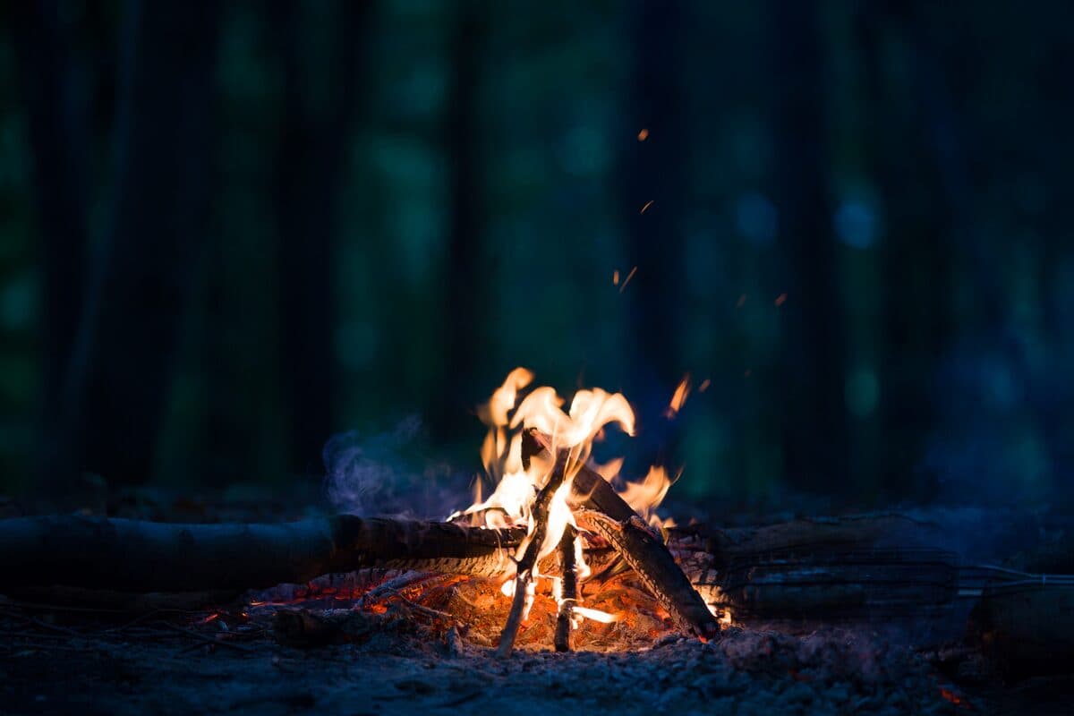 Aurora hunt with campfire, thermal suits & marshmallows - photo 13