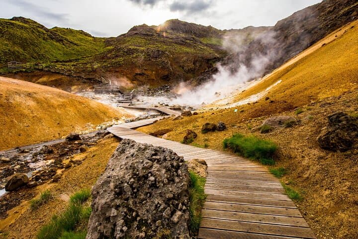 Reykjanes Peninsula :Private Guided Tour  - photo 21