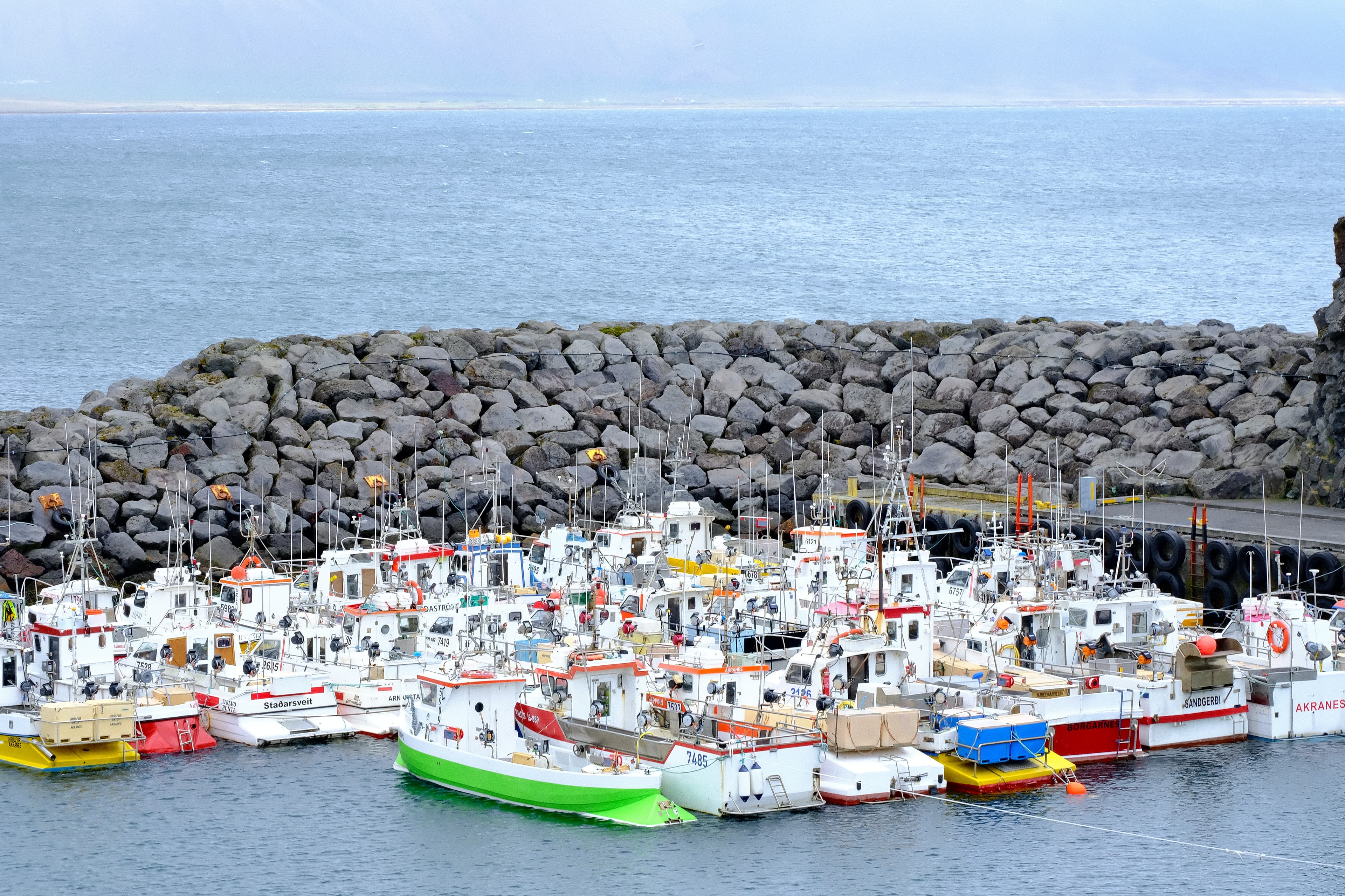 Snæfellsnes en español con almuerzo incluido en una granja en minibus - photo 13