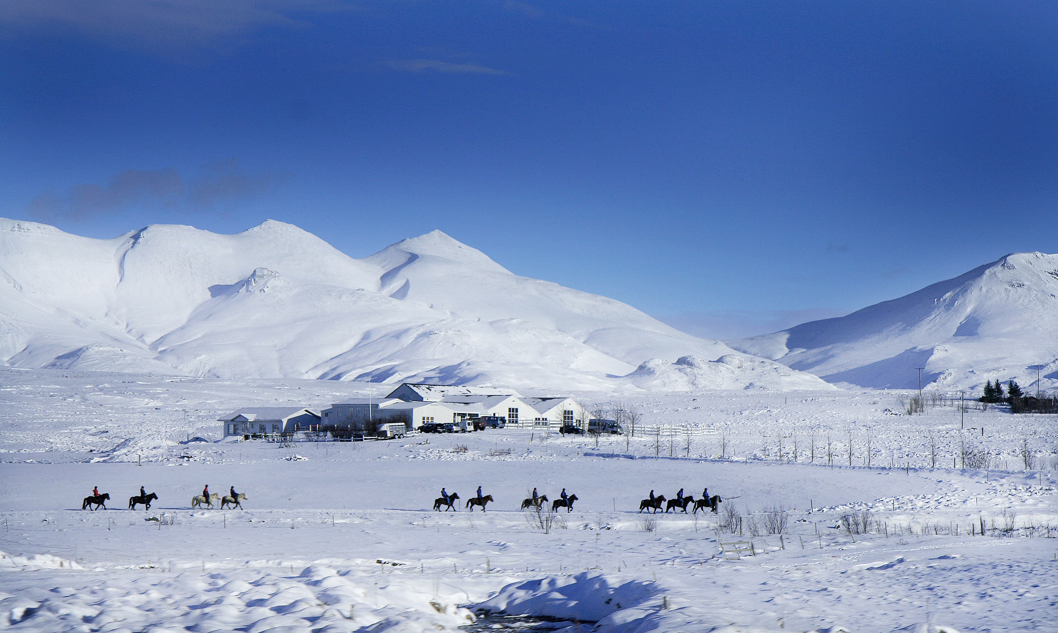 Silfra Snorkeling - with underwater photos & Horseback riding - photo 17