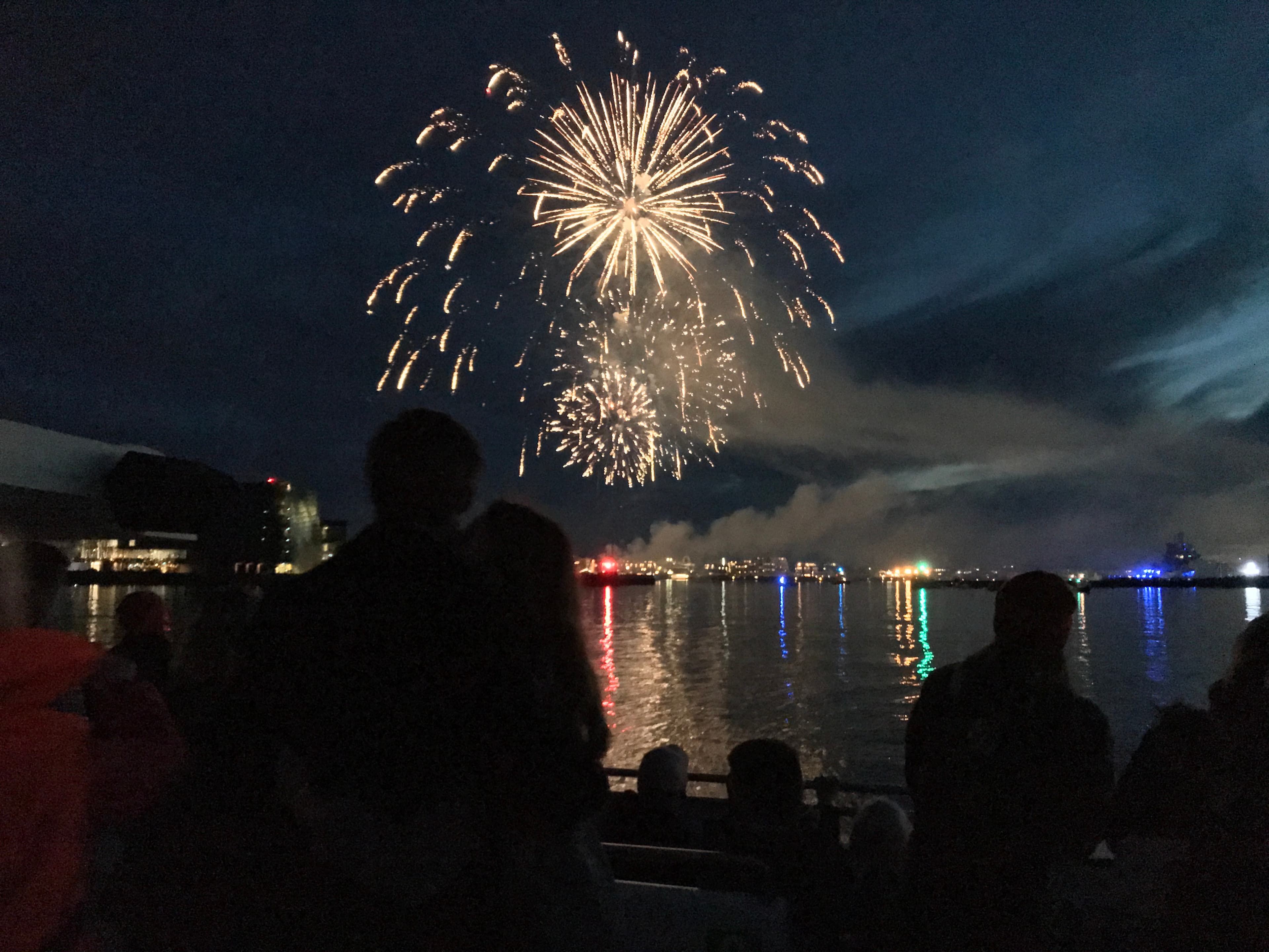 New Years Firework Cruise - photo 7