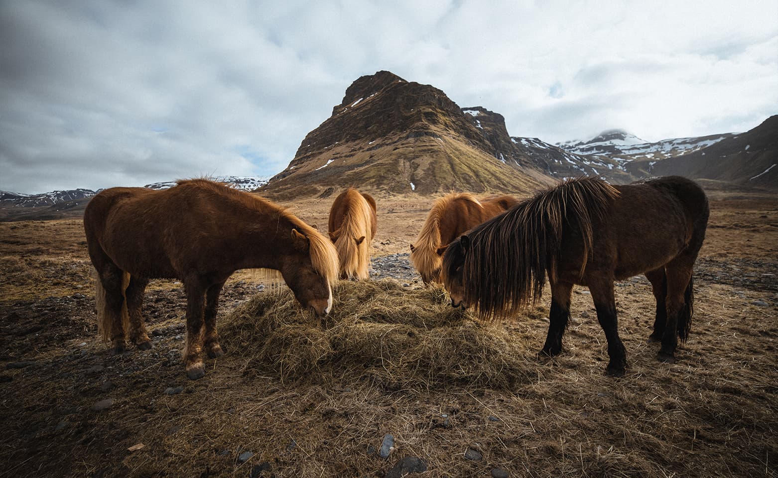 Snæfellsnes Peninsula | Private Tour | Photo Package Included - photo 7