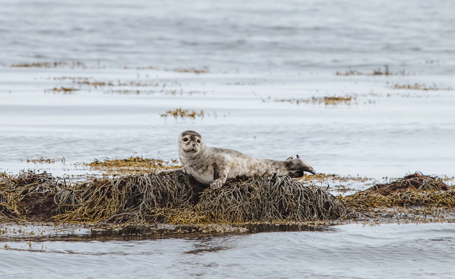 Snæfellsnes Peninsula | Private Tour | Photo Package Included - photo 3