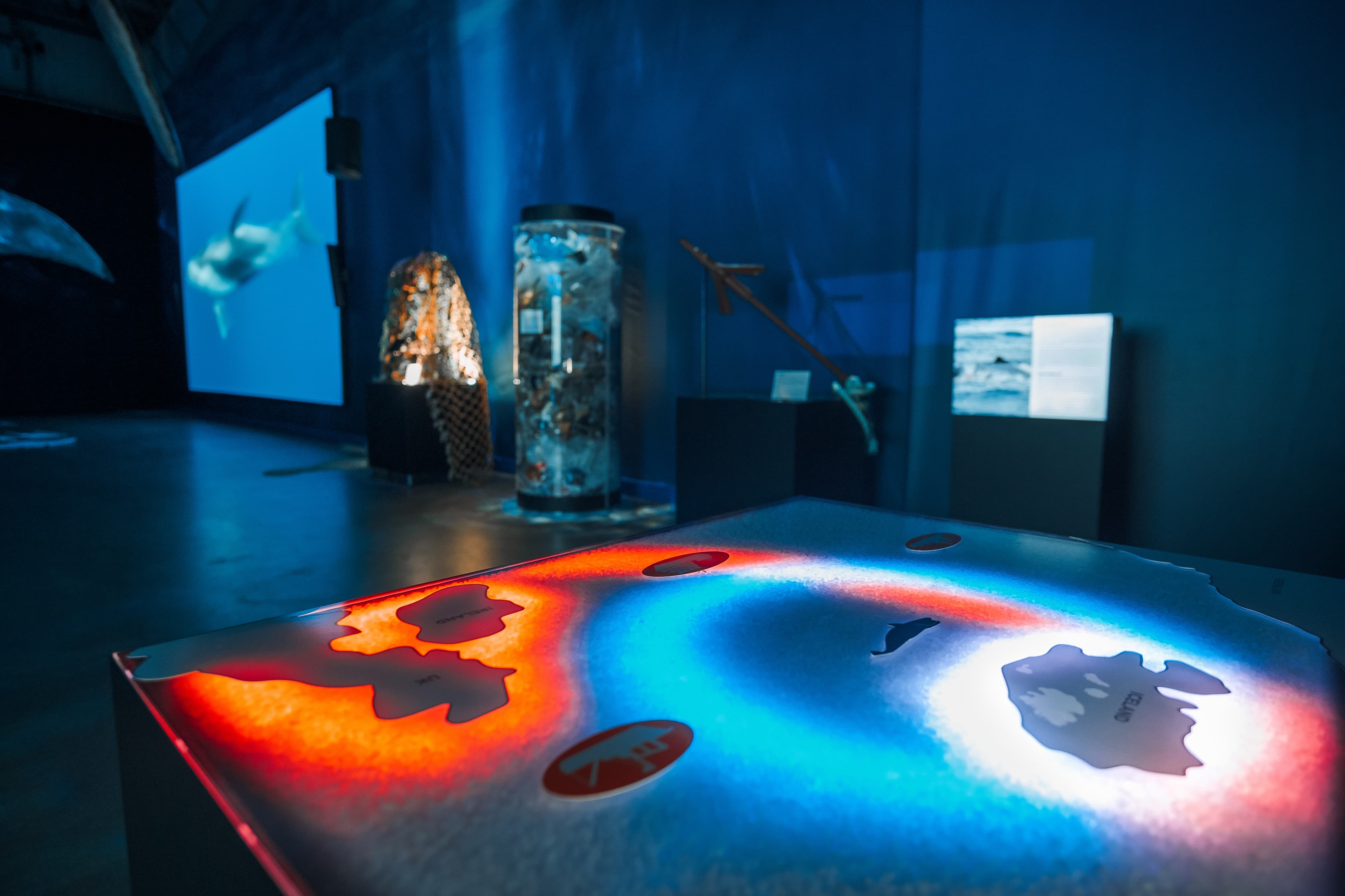 Whales of Iceland Museum Admission - photo 5
