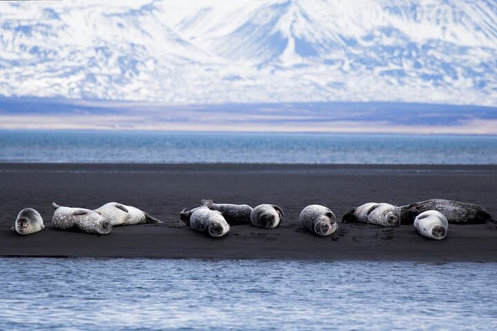 Snæfellsnes Peninsula in a small group tour with home-cooked meal included - photo 17