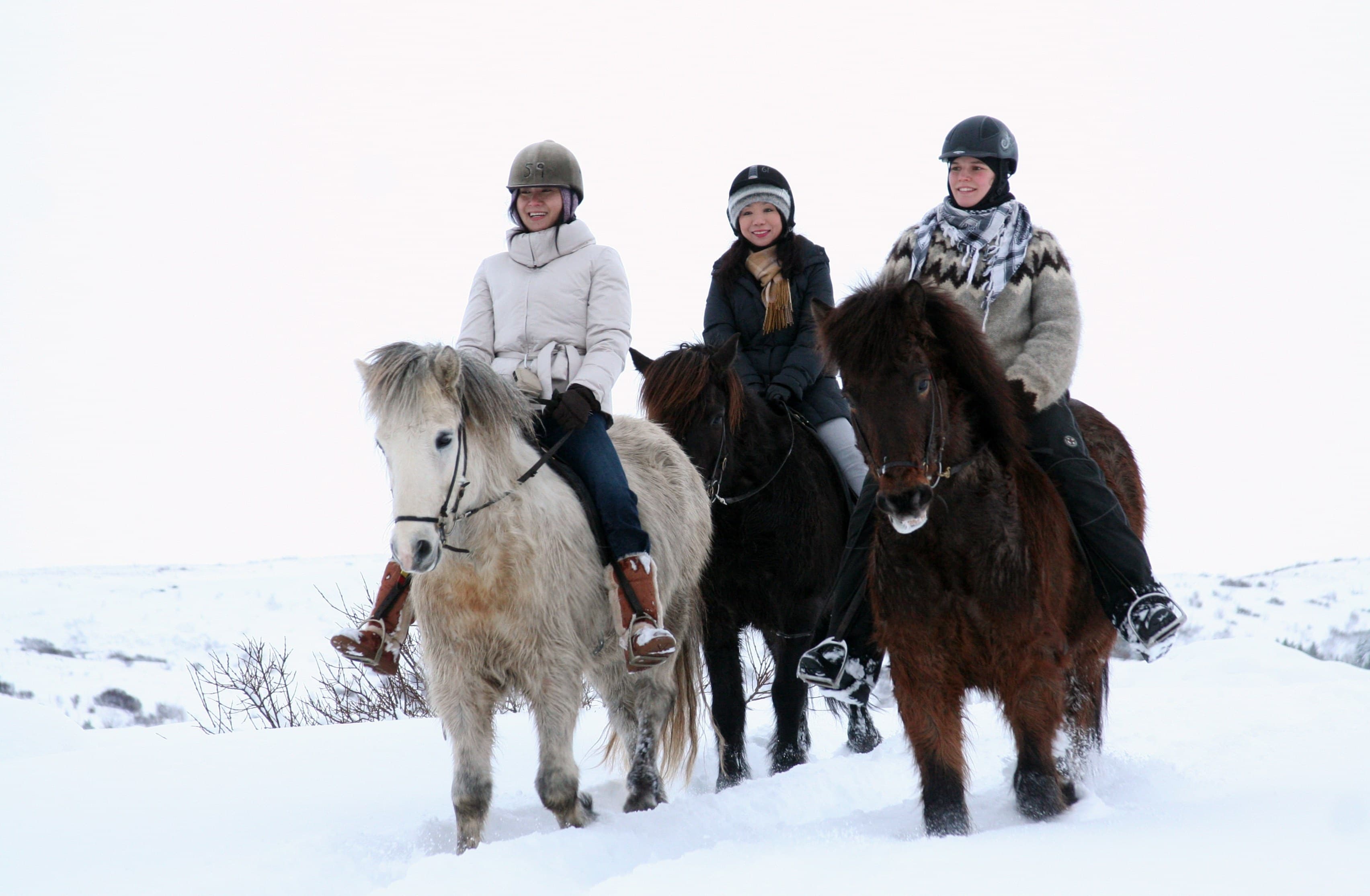 Lava Tour - Horseback Riding through the Lava Fields - photo 15