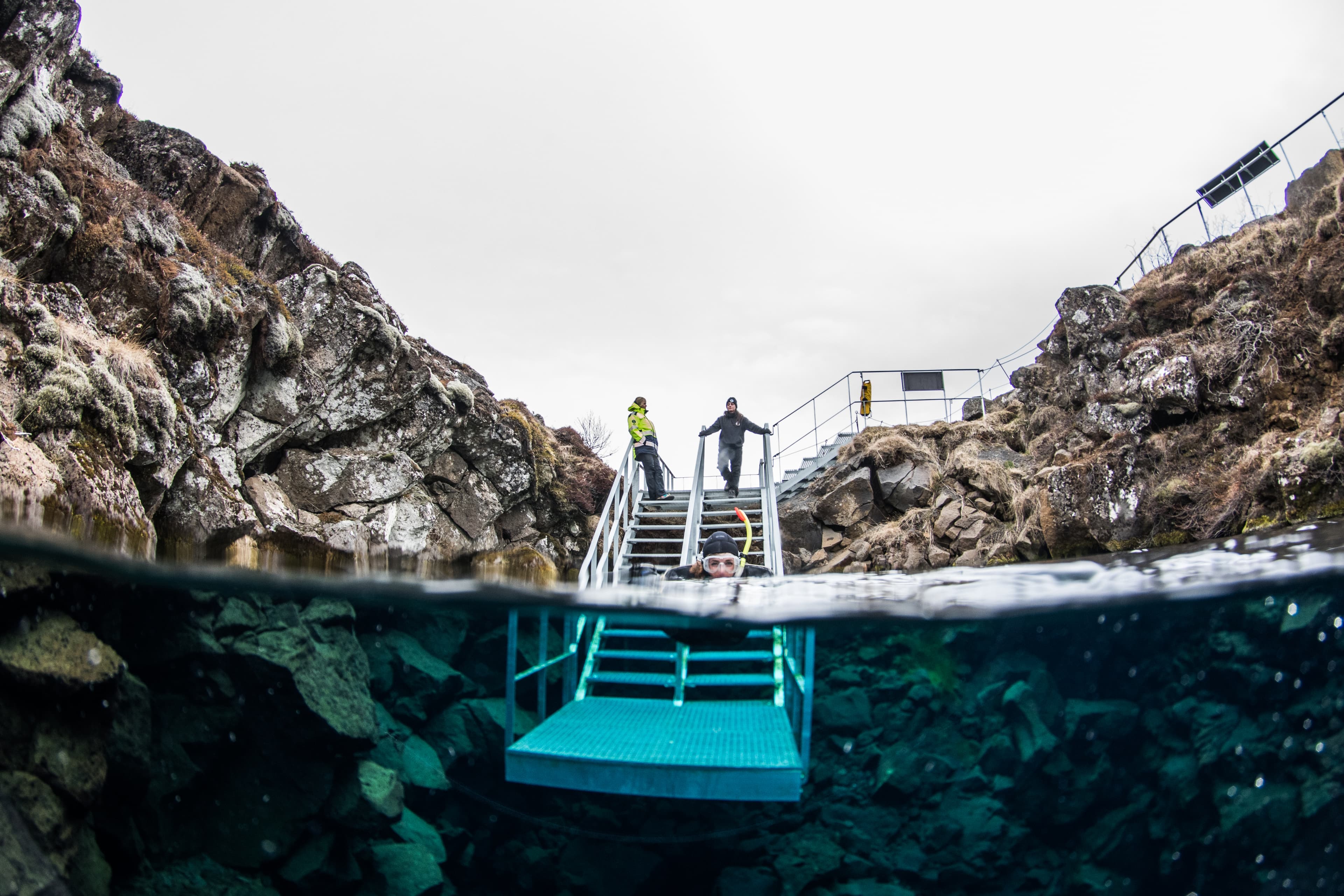 Reykjavík Whales & Snorkeling - photo 2