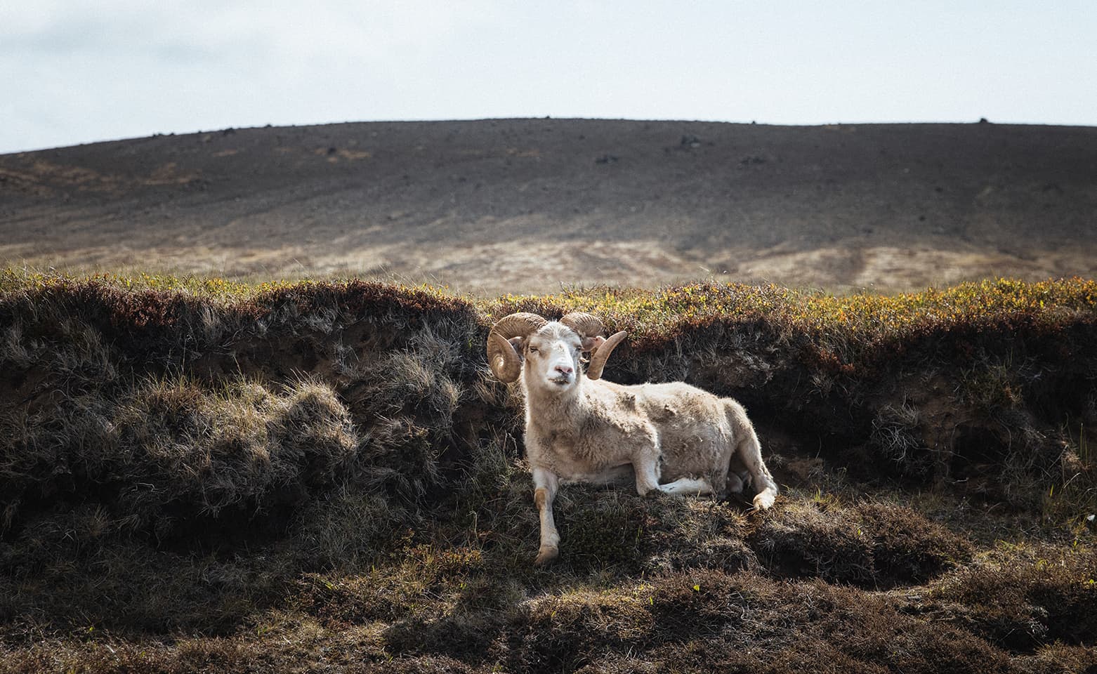 Reykjanes Peninsula | Private Tour | Photo Package Included - photo 21