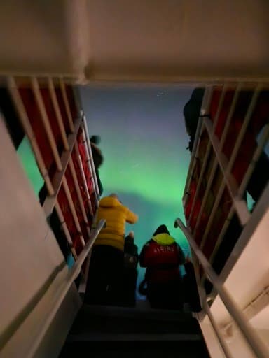 Reykjavík Whales & Northern Lights - photo 2