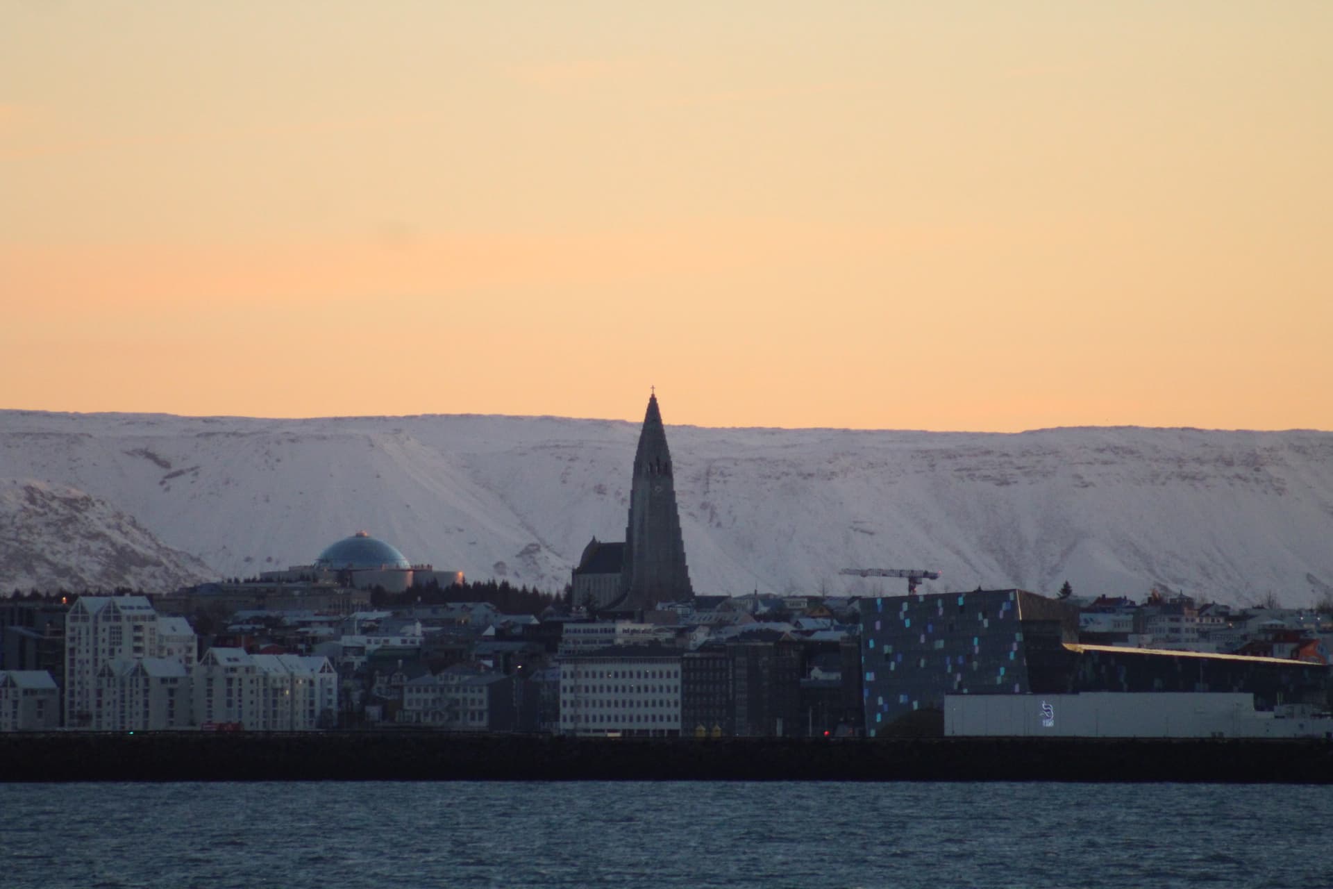Reykjavík Whales & Northern Lights - photo 20