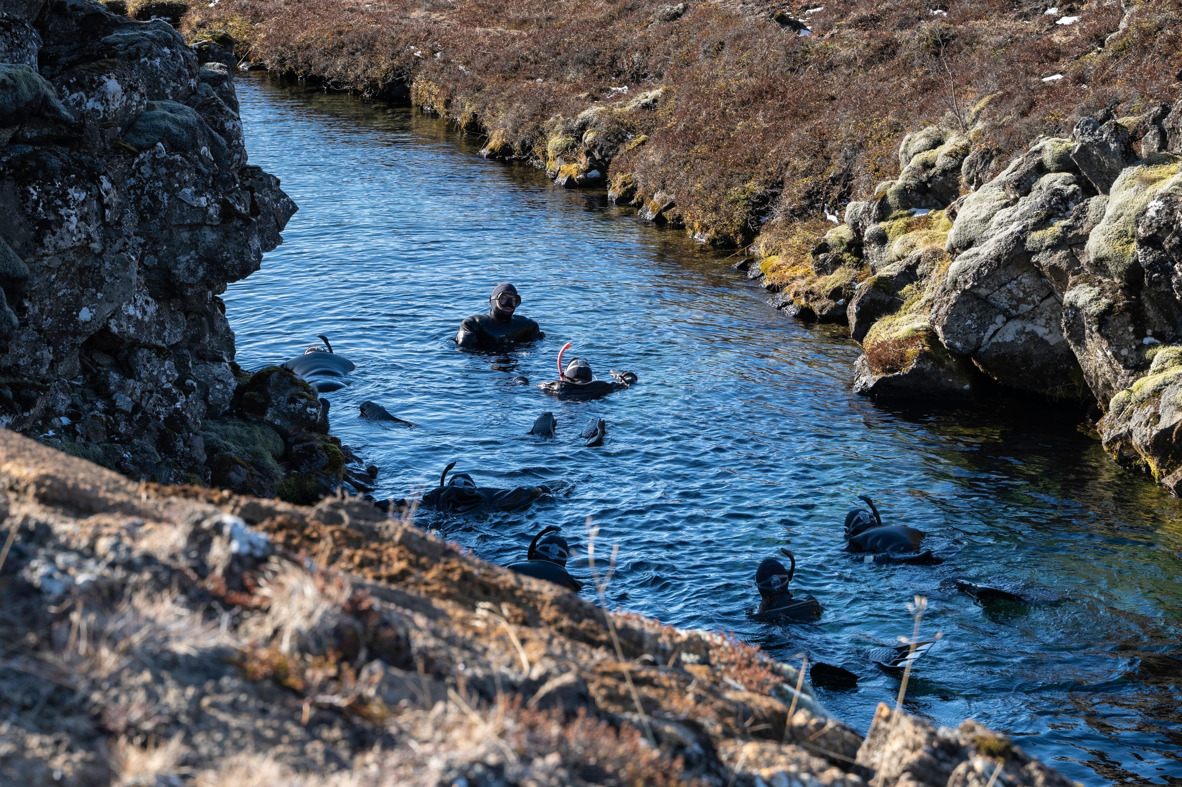 Private Golden Snorkel in Minivan: Golden Circle and snorkeling in Silfra - photo 23