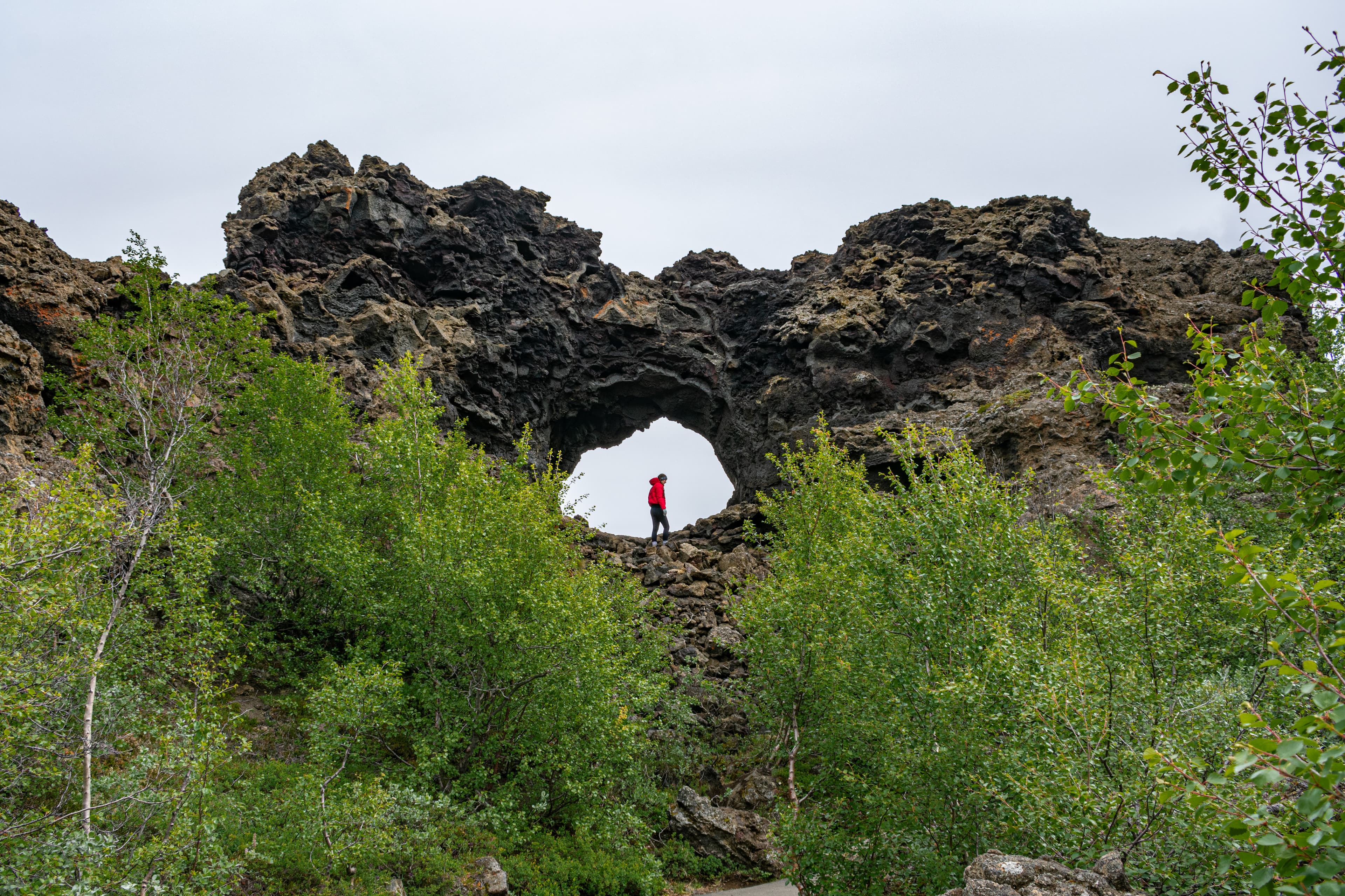 Myvatn, Waterfall, Hot Springs & Volcanoes Tour from Akureyri - photo 7