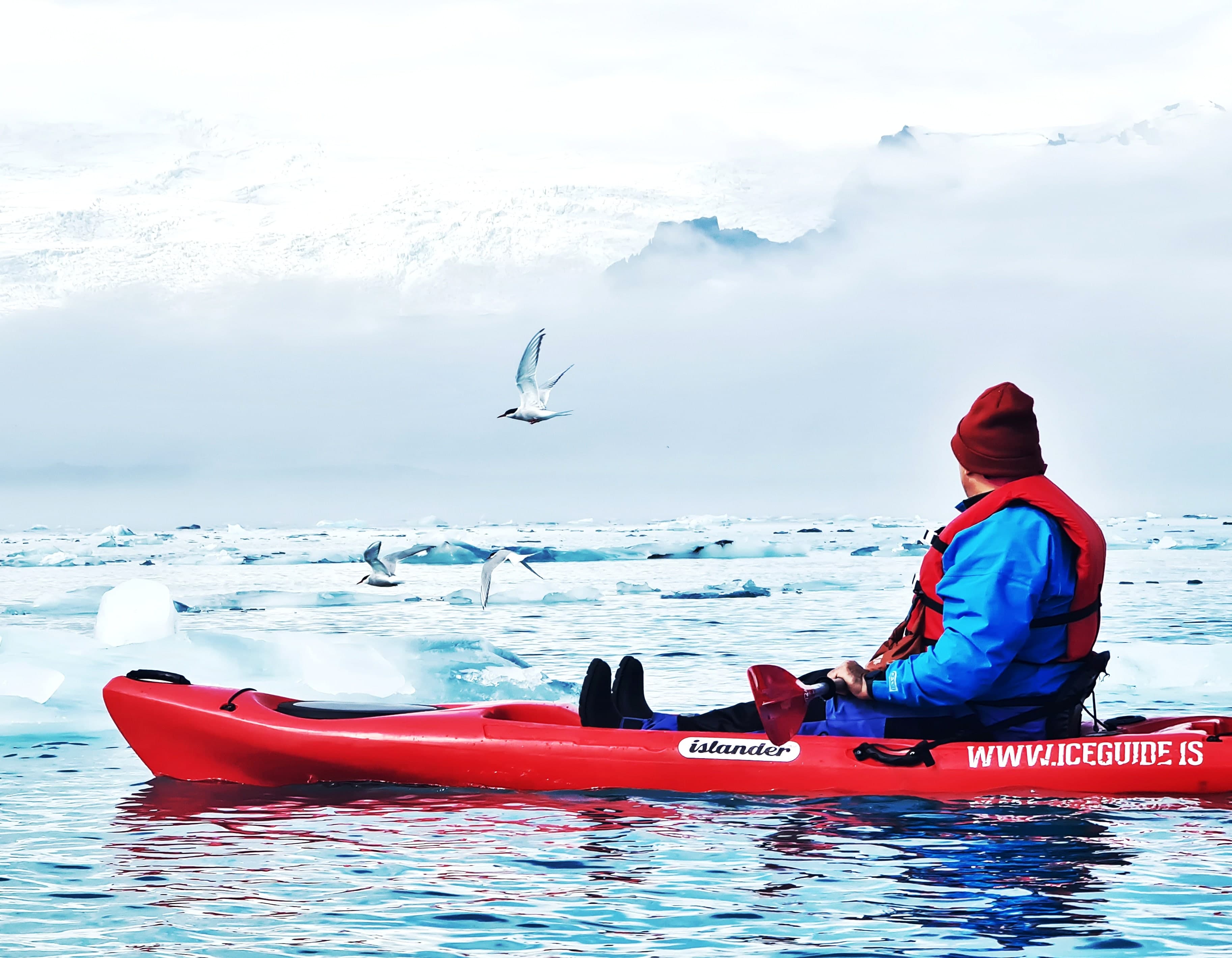 Kayaking at The Glacier Lagoon  - photo 15