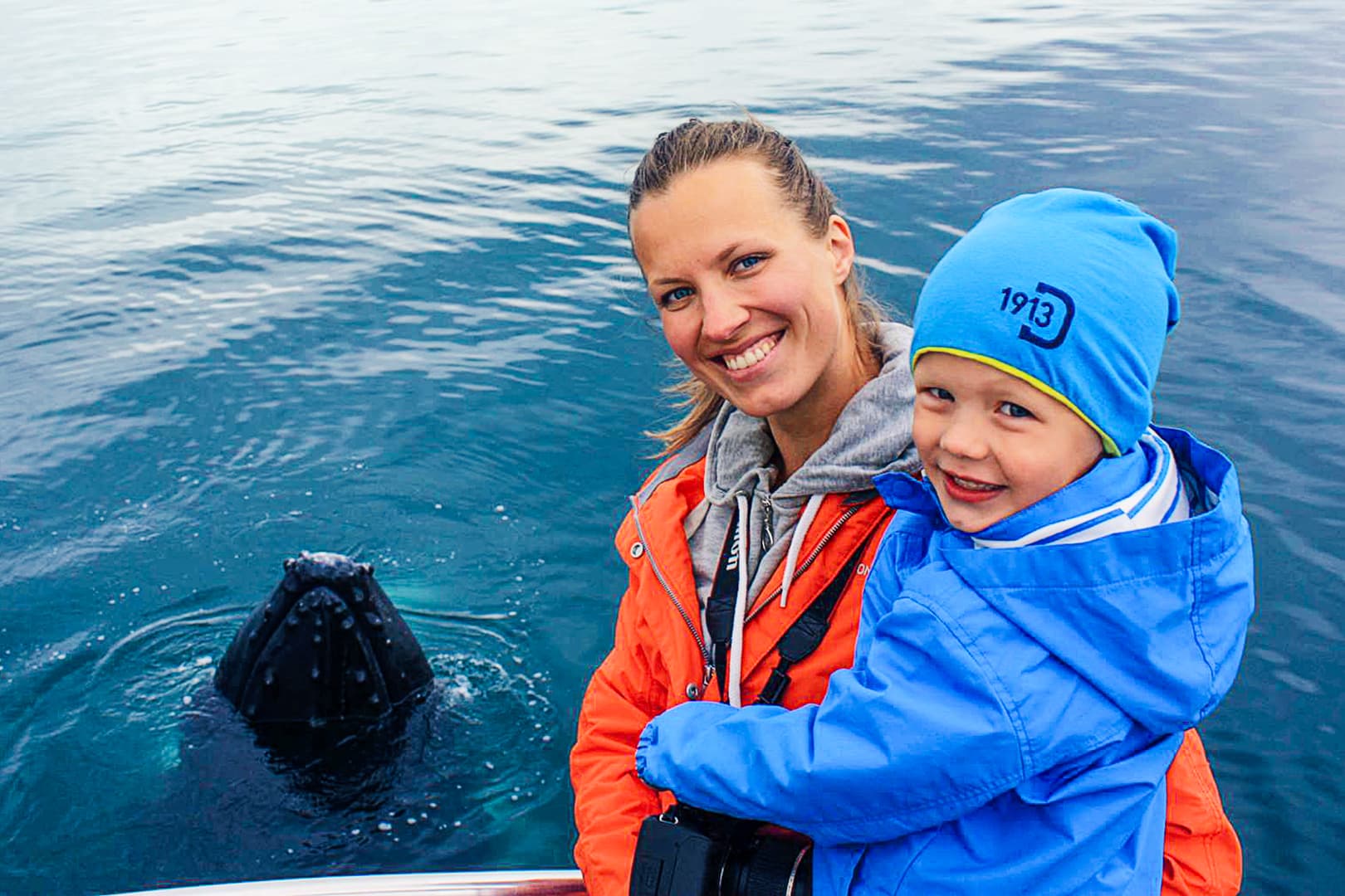 Whale Watching Eyjafjörður: From Árskógssandur - photo 2