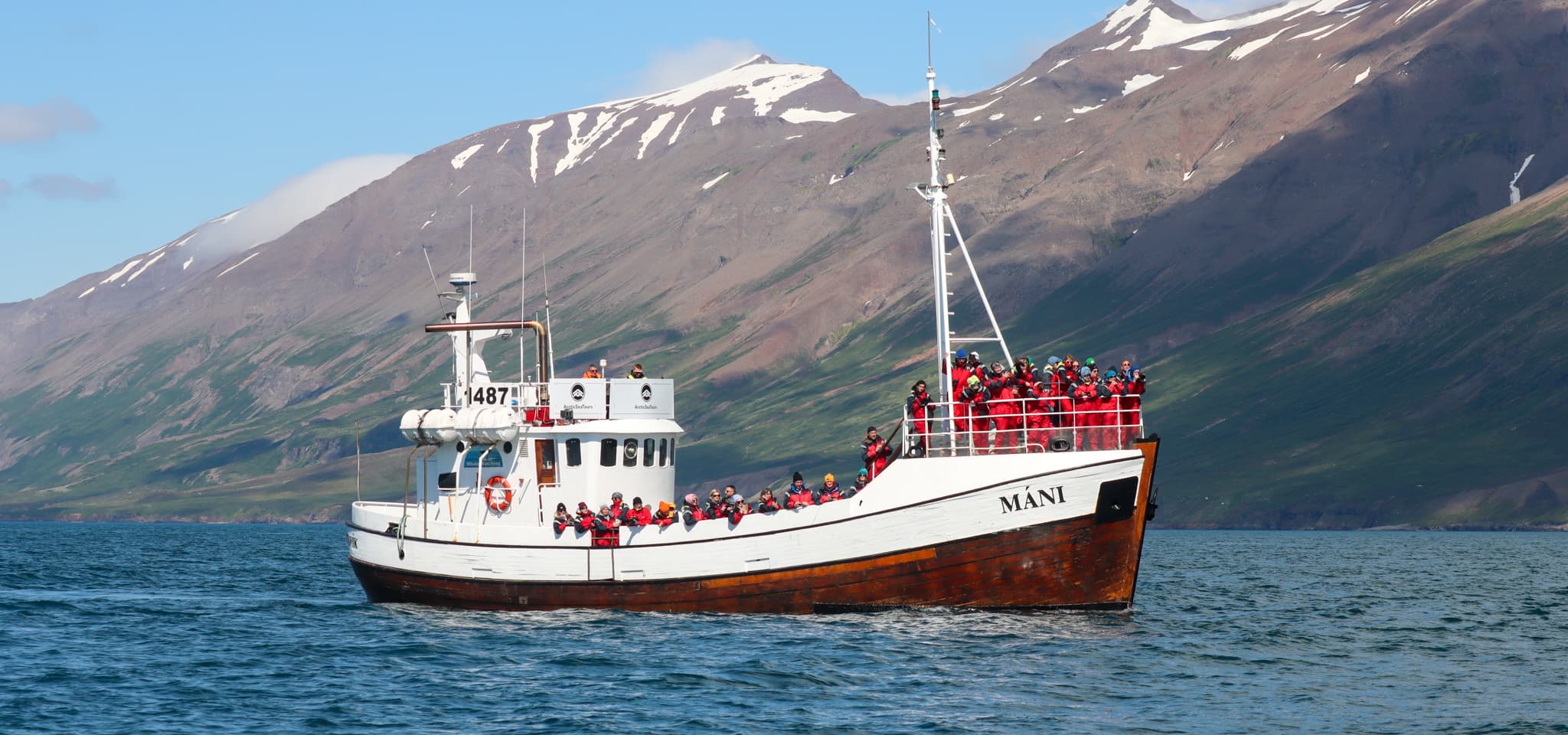 Classic Whale Watching from Dalvík - photo 8