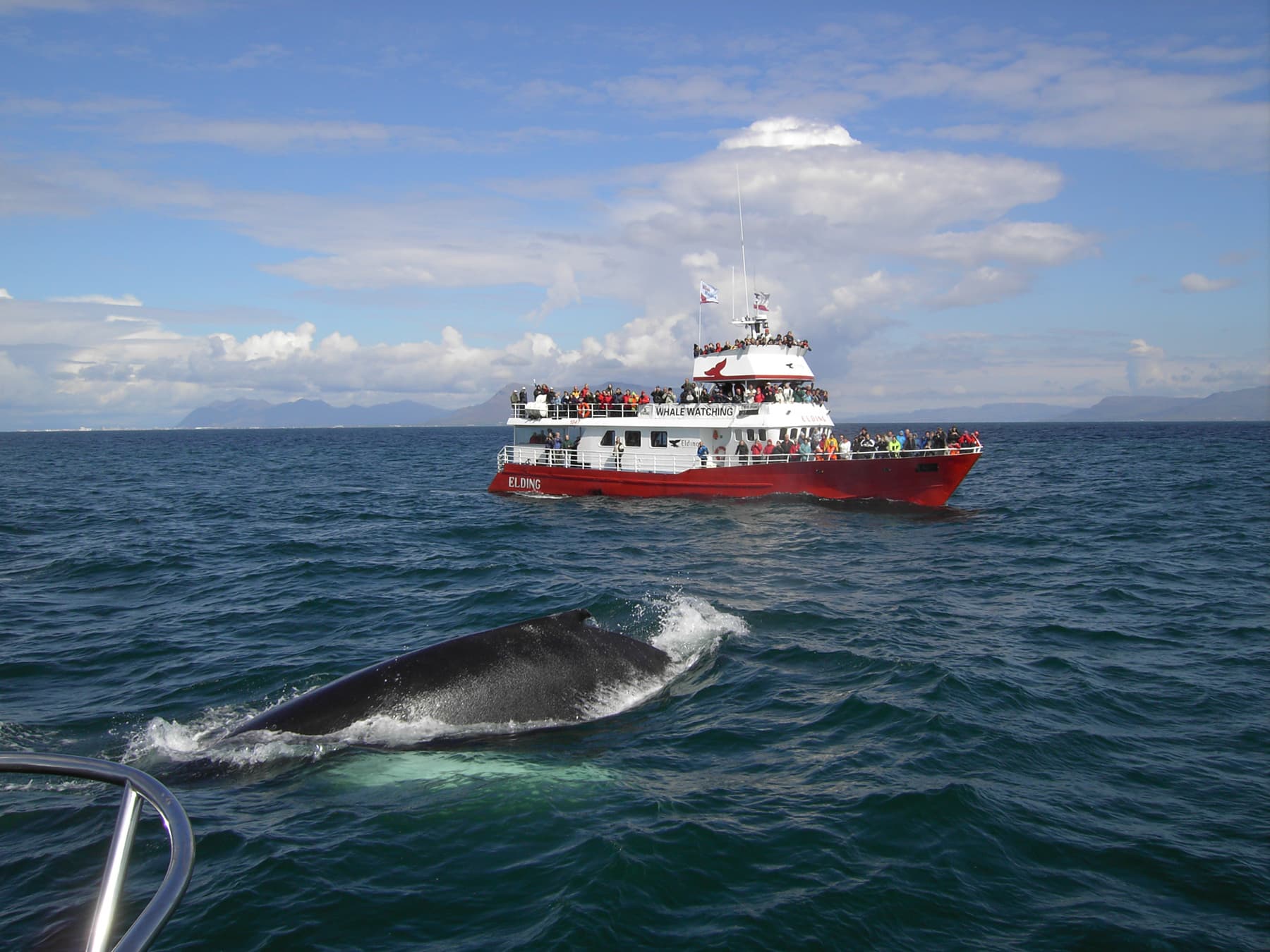 ATV & Whale Watching - photo 2