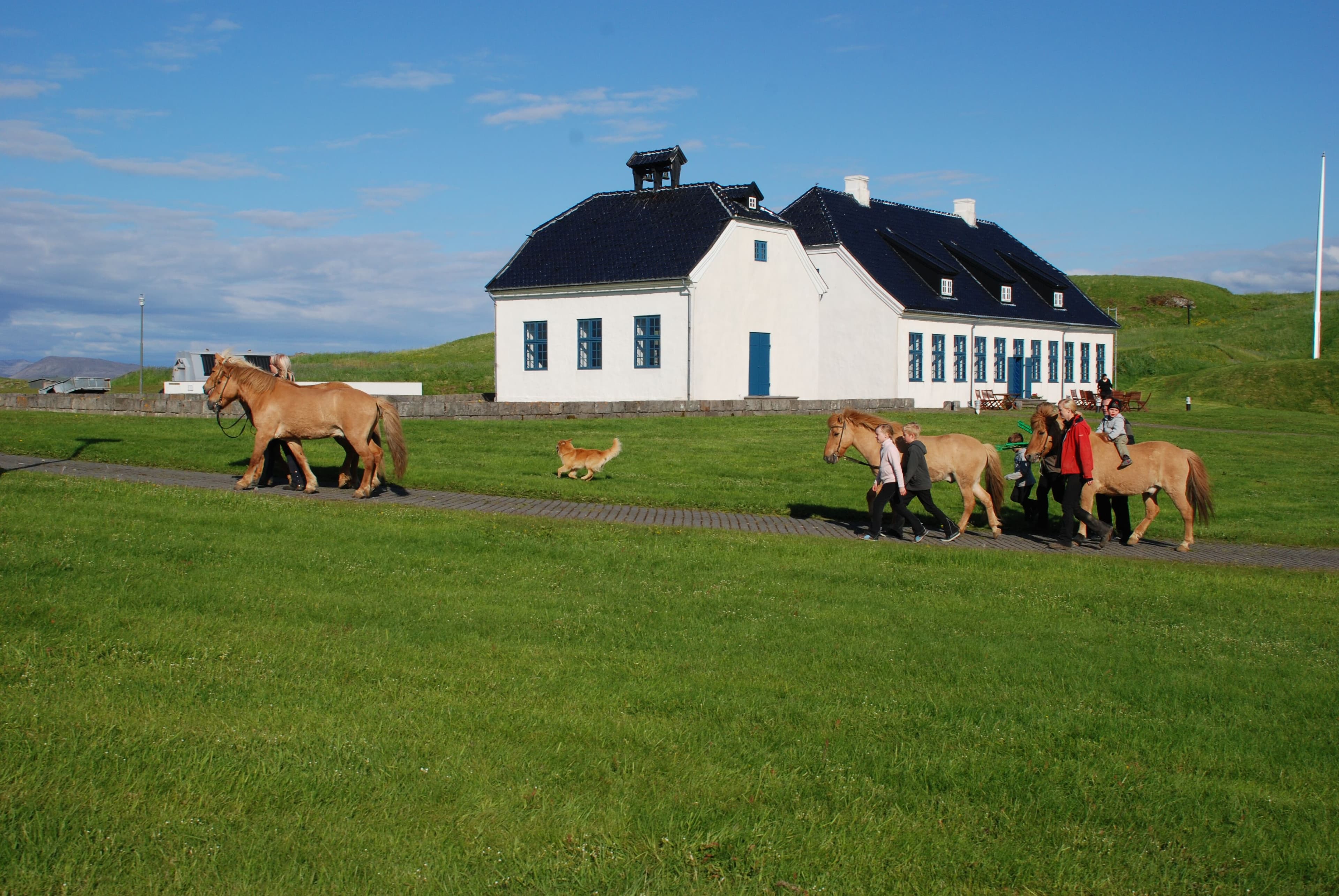 Viðey Ferry - from the Old Harbour