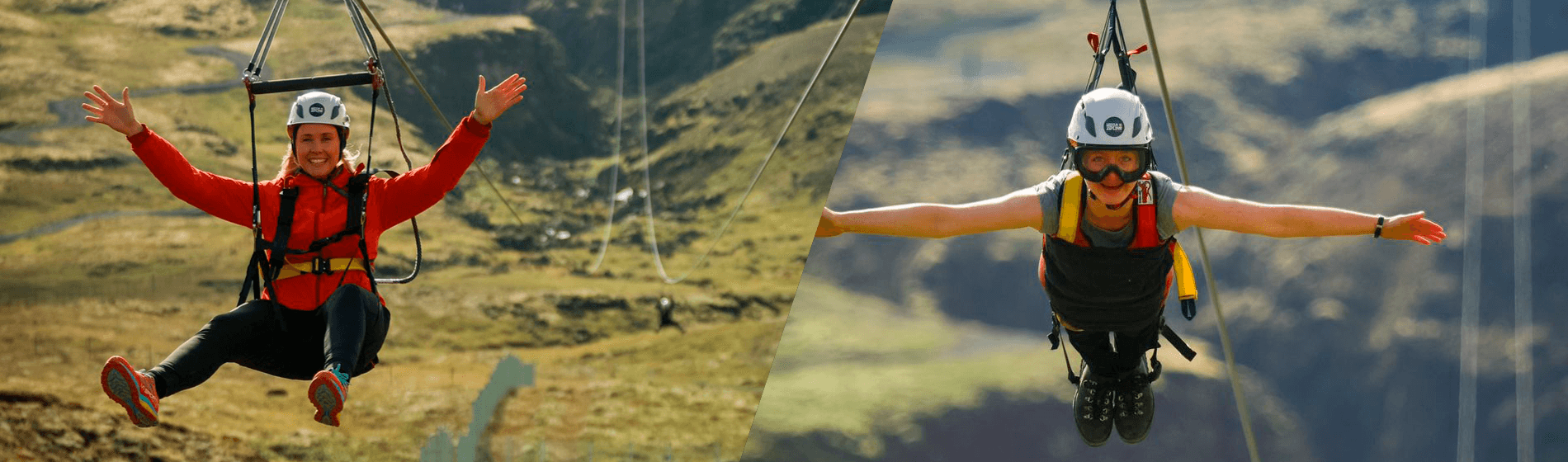 Double Thrill: Wings of the Bird, Flight of the Falcon