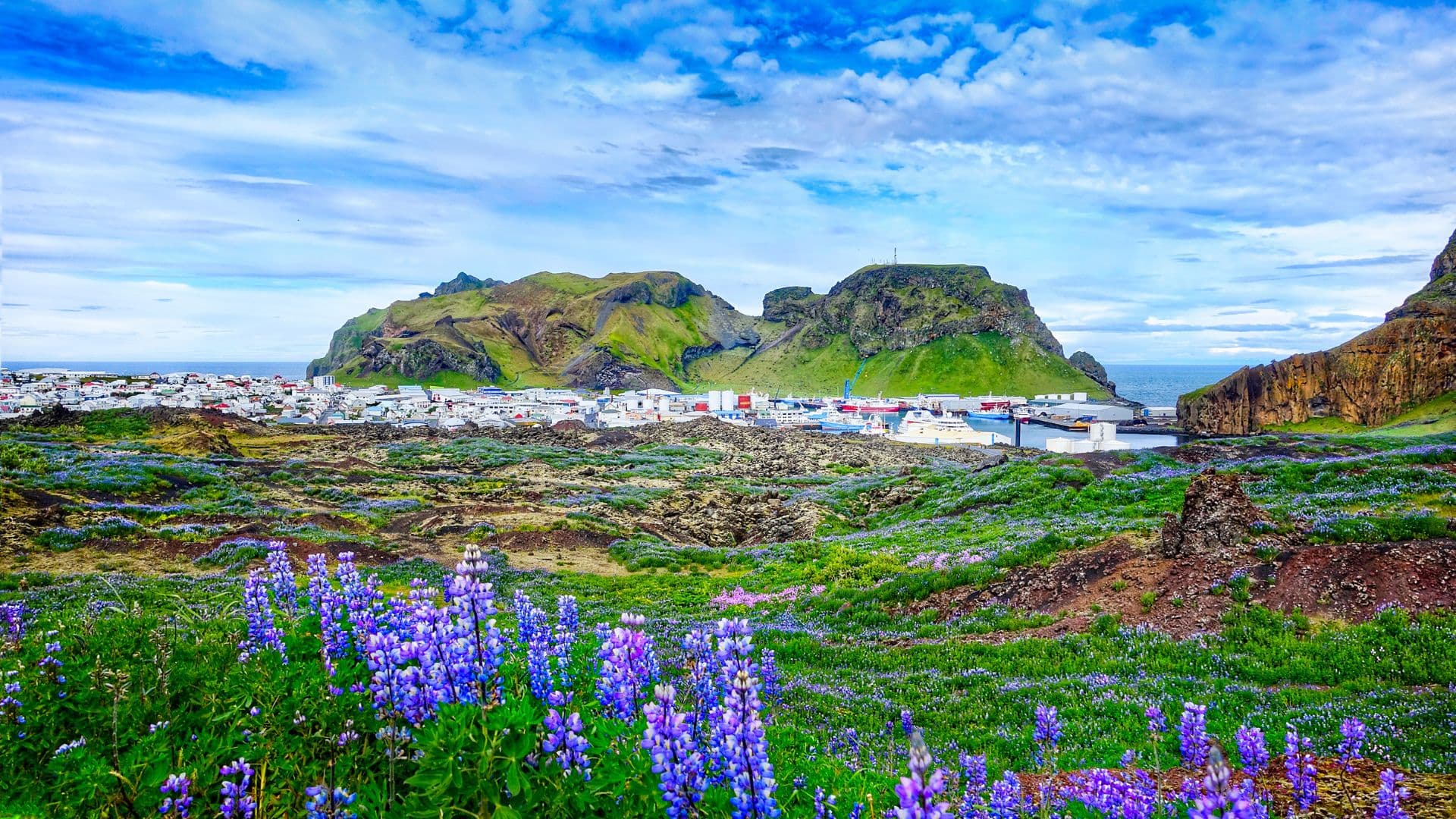 Private Westman Islands Day Tour - photo 11