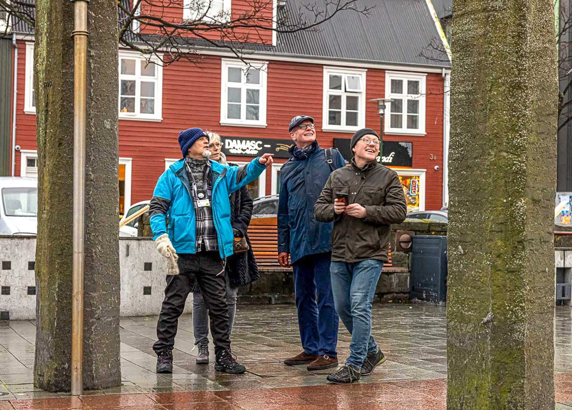 Puffins & People: A Reykjavik City & Boat Adventure - photo 5