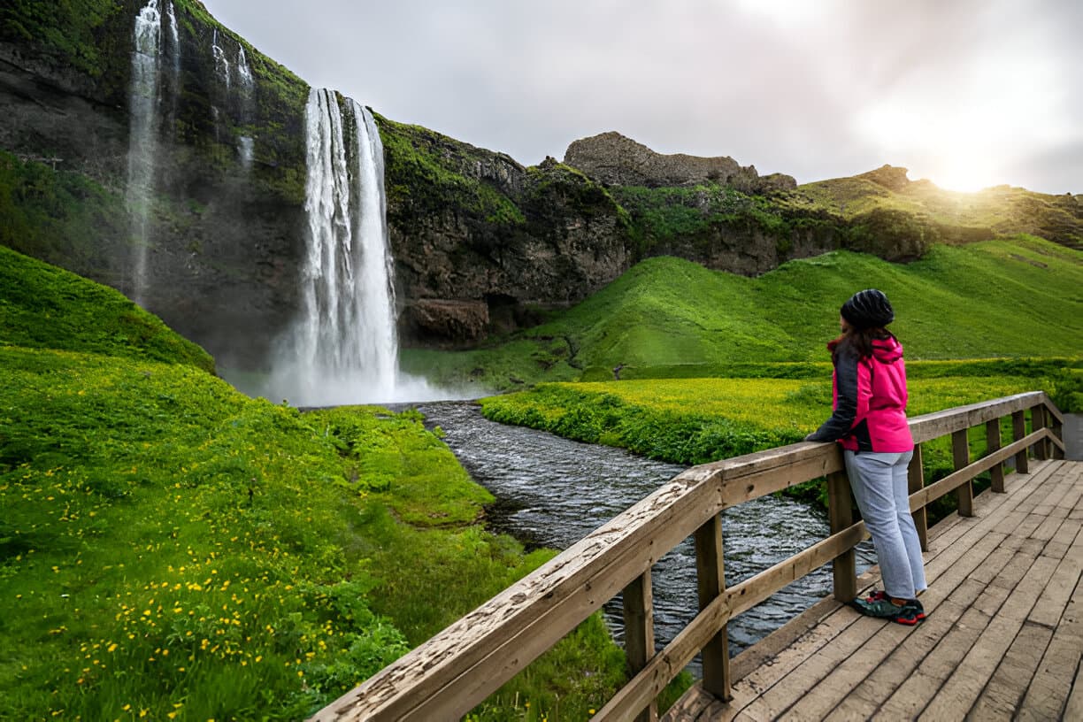 Private South Coast Tour from Reykjavik in Multi-Language Guide Options