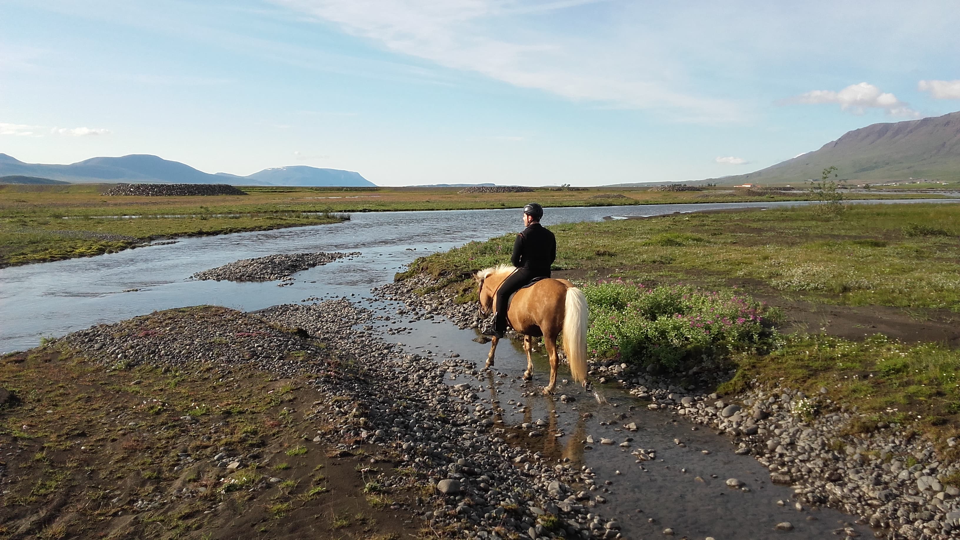River Delta - photo 13