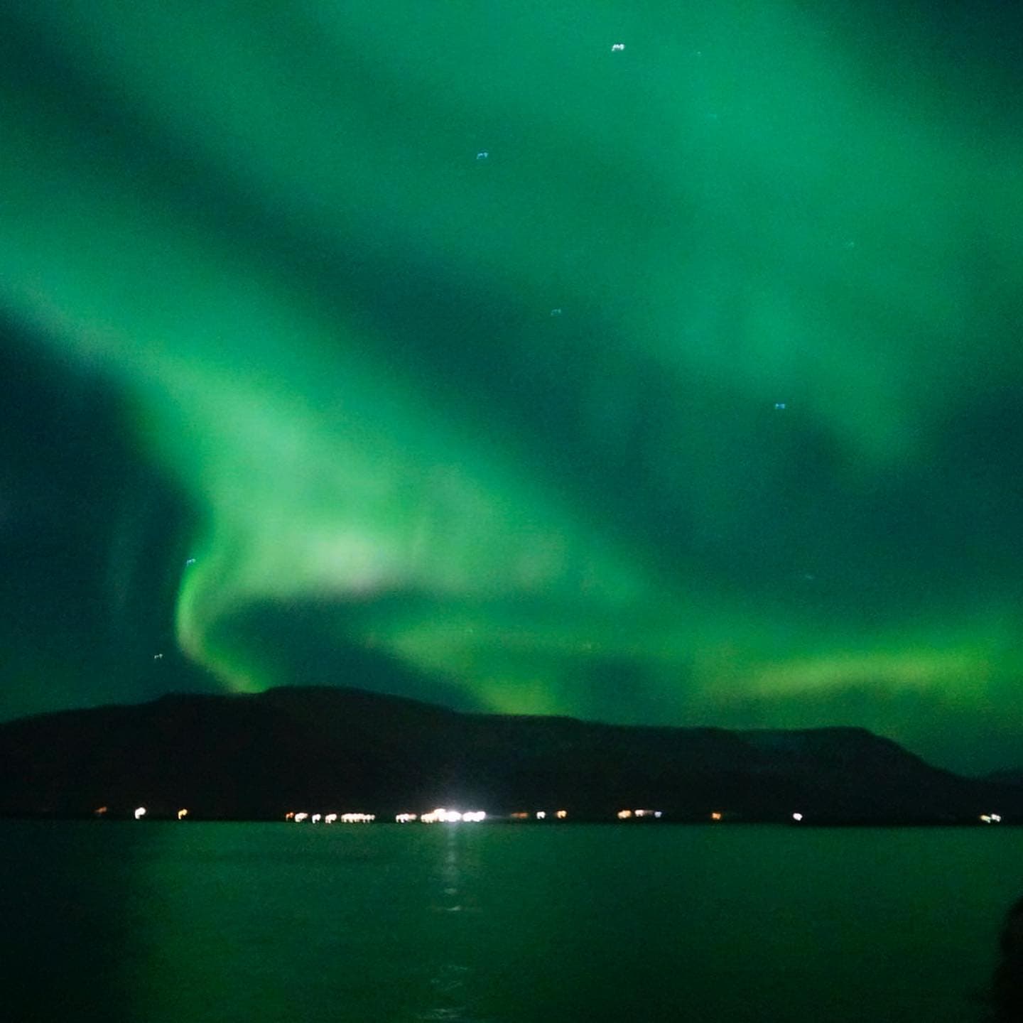 Northern Lights Cruise with Hot Chocolate and Free Retry Included - photo 13