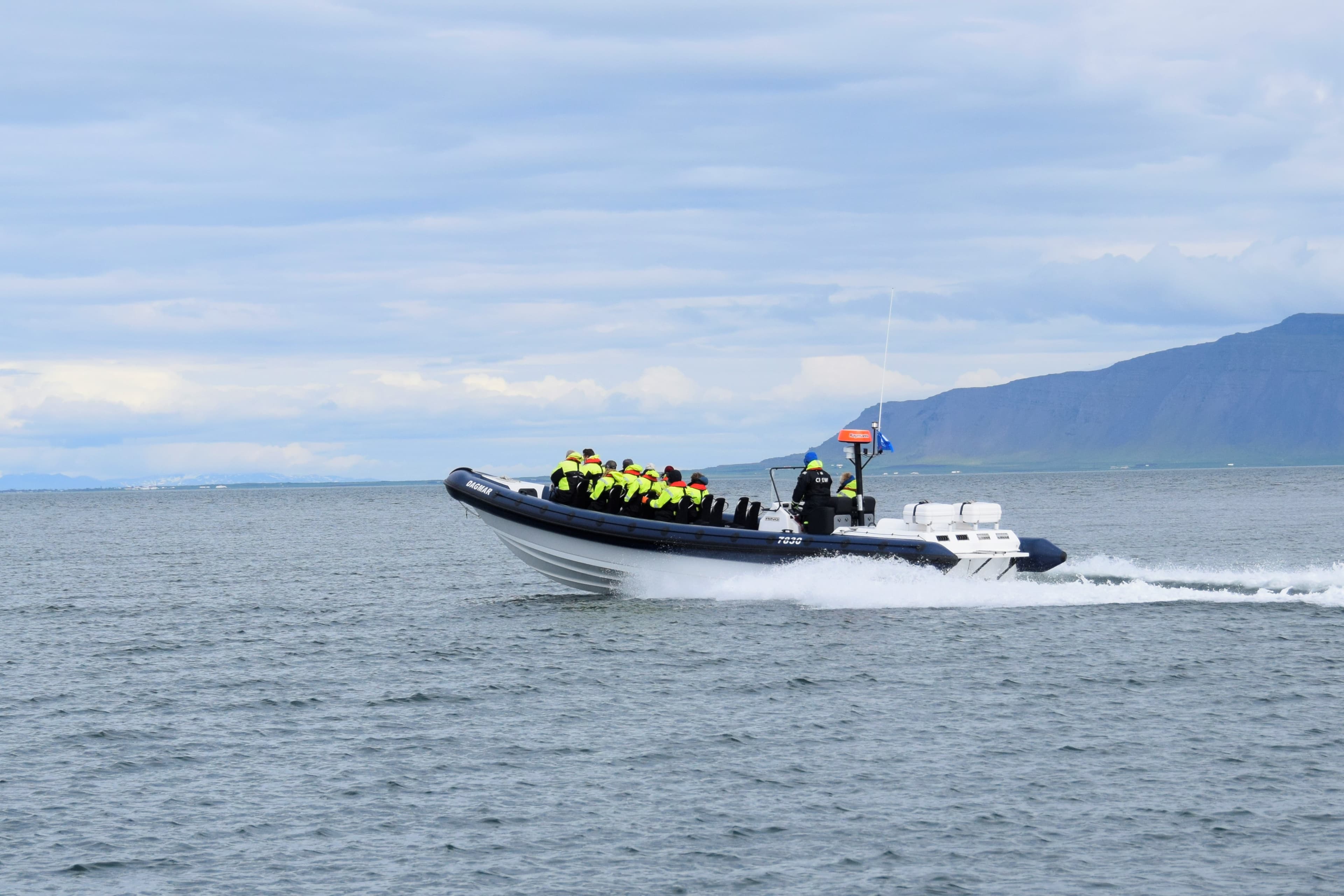 Puffin Express by RIB Speedboat - photo 7