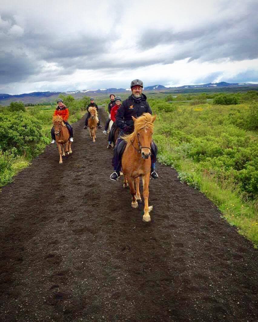 Viking Horses Sleipnir Evening Tour - photo 3