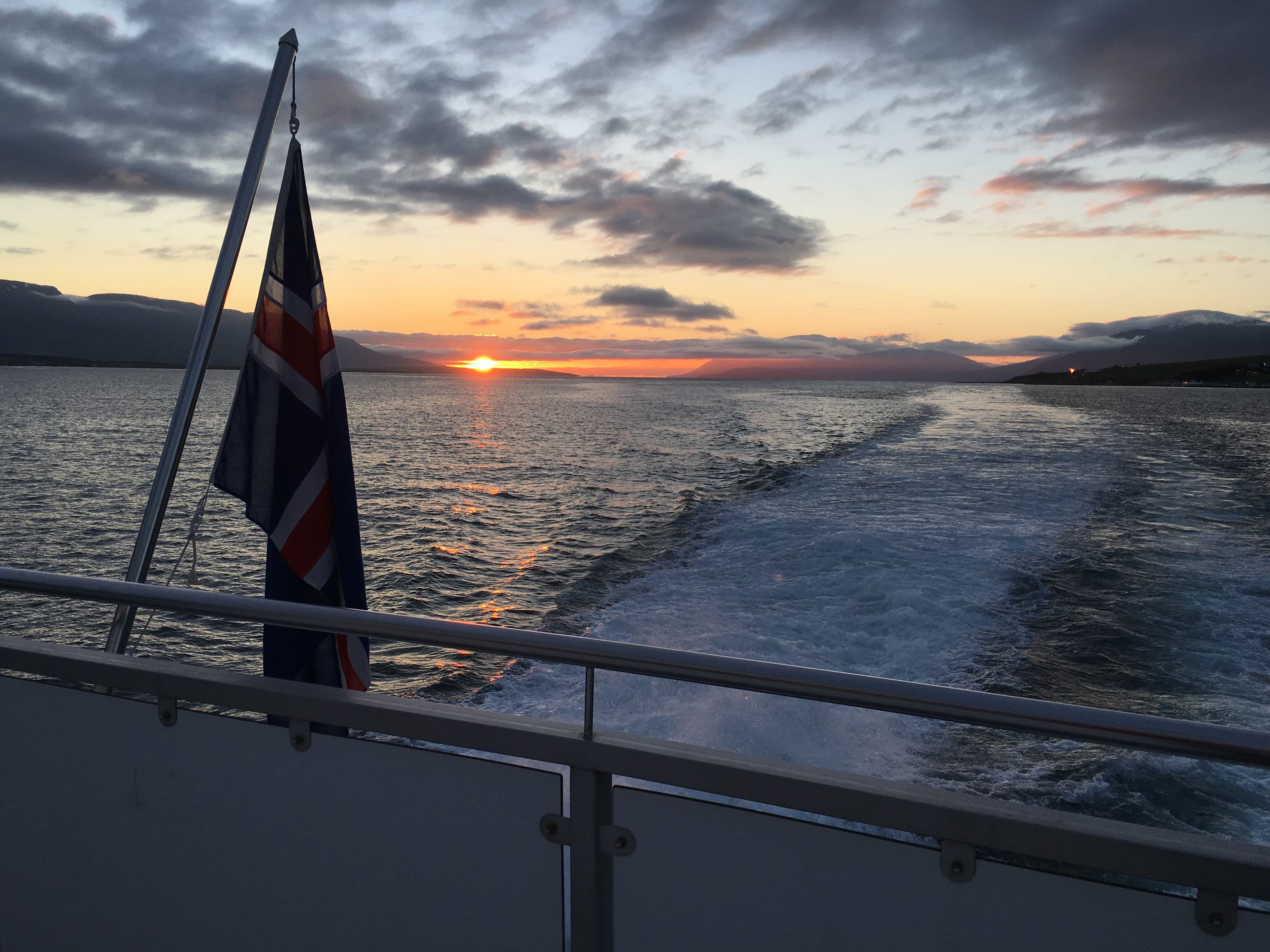 Akureyri Classic Whales in the Midnight Sun - photo 11