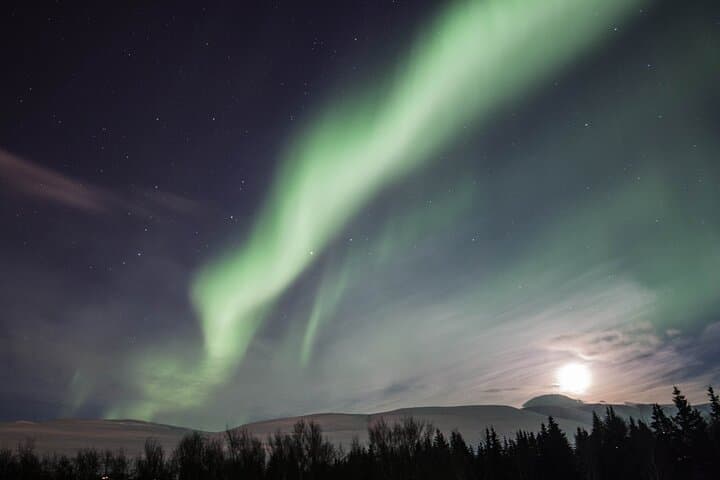 Northern Lights Classic Tour from Akureyri - photo 4