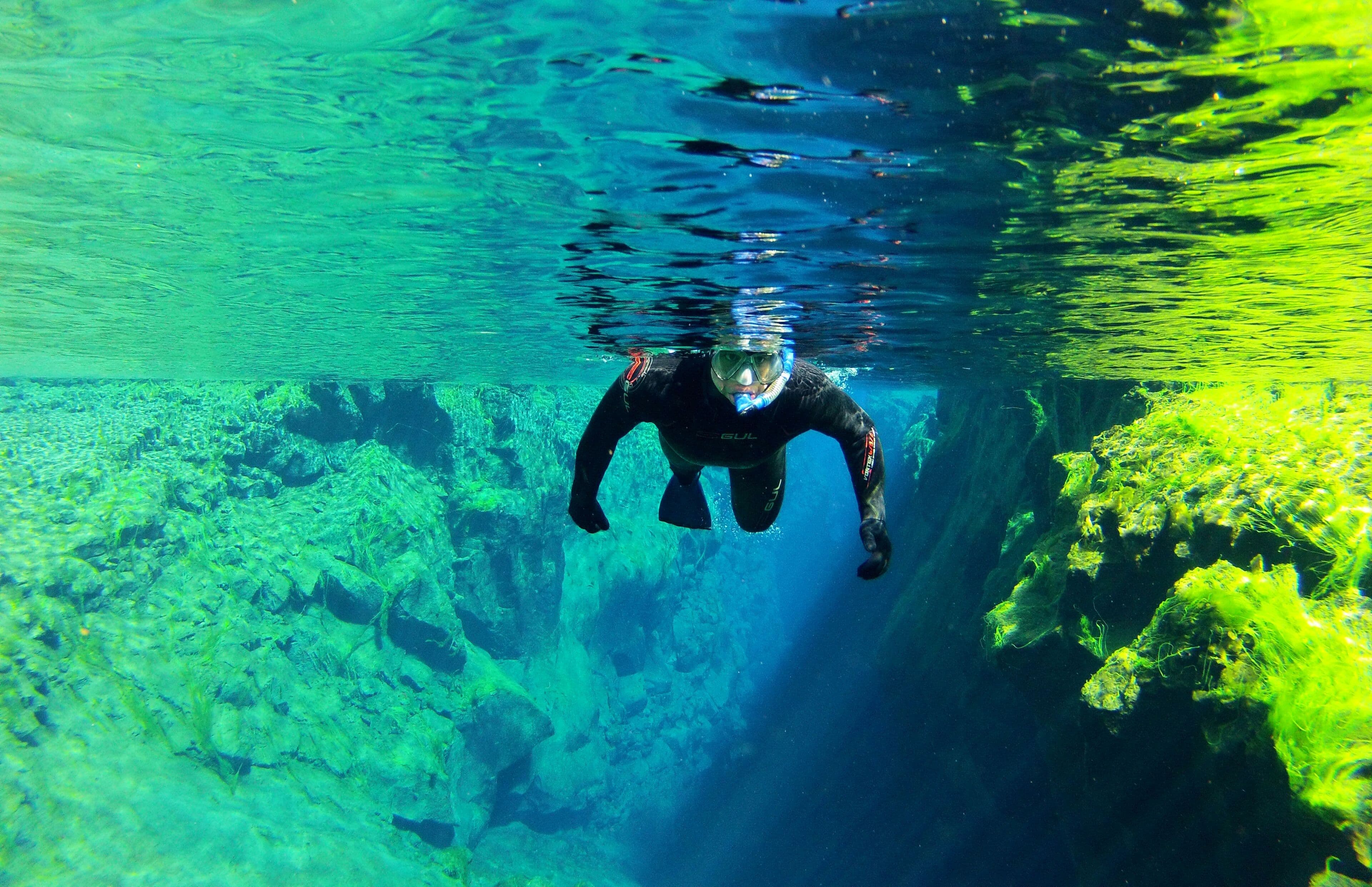 Self drive: Wetsuit Snorkeling in Silfra - with underwater photos - photo 9